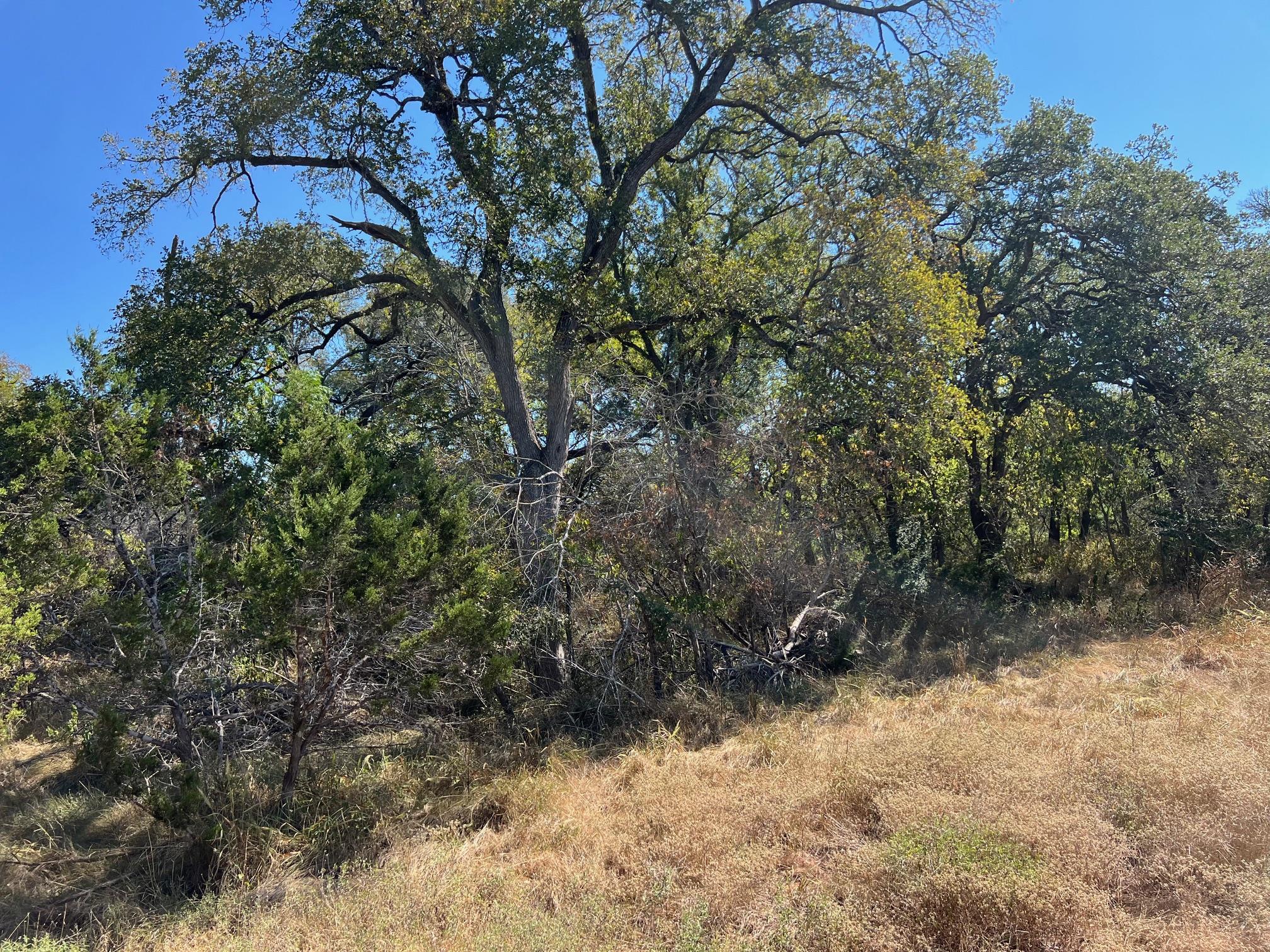 1366-E Narrows Rd, Blanco, TX 78606