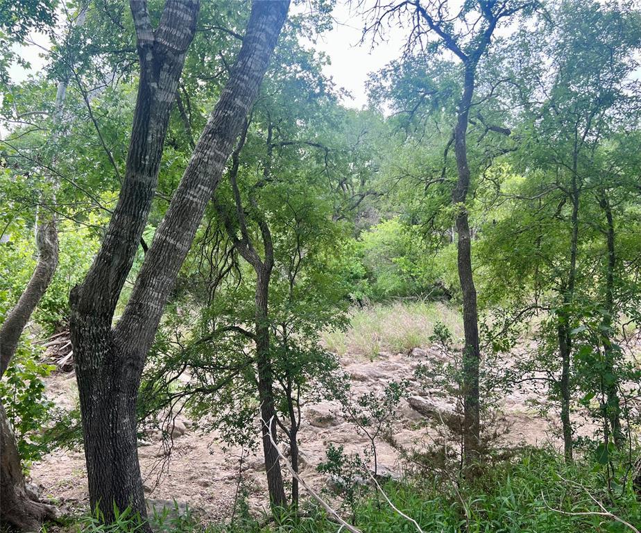 1366-E Narrows Rd, Blanco, TX 78606
