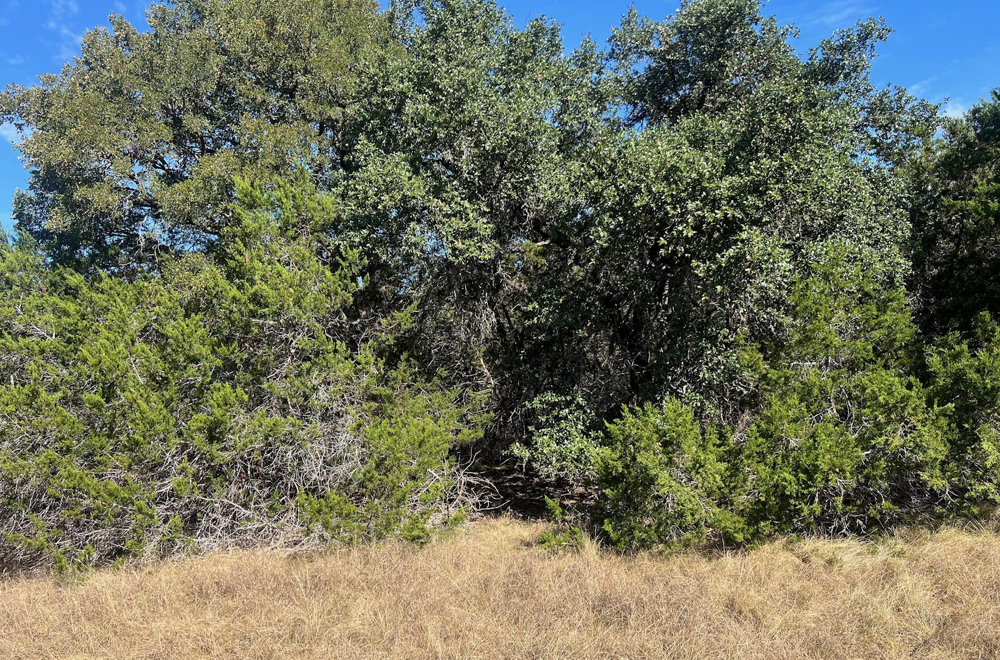 1366-E Narrows Rd, Blanco, TX 78606