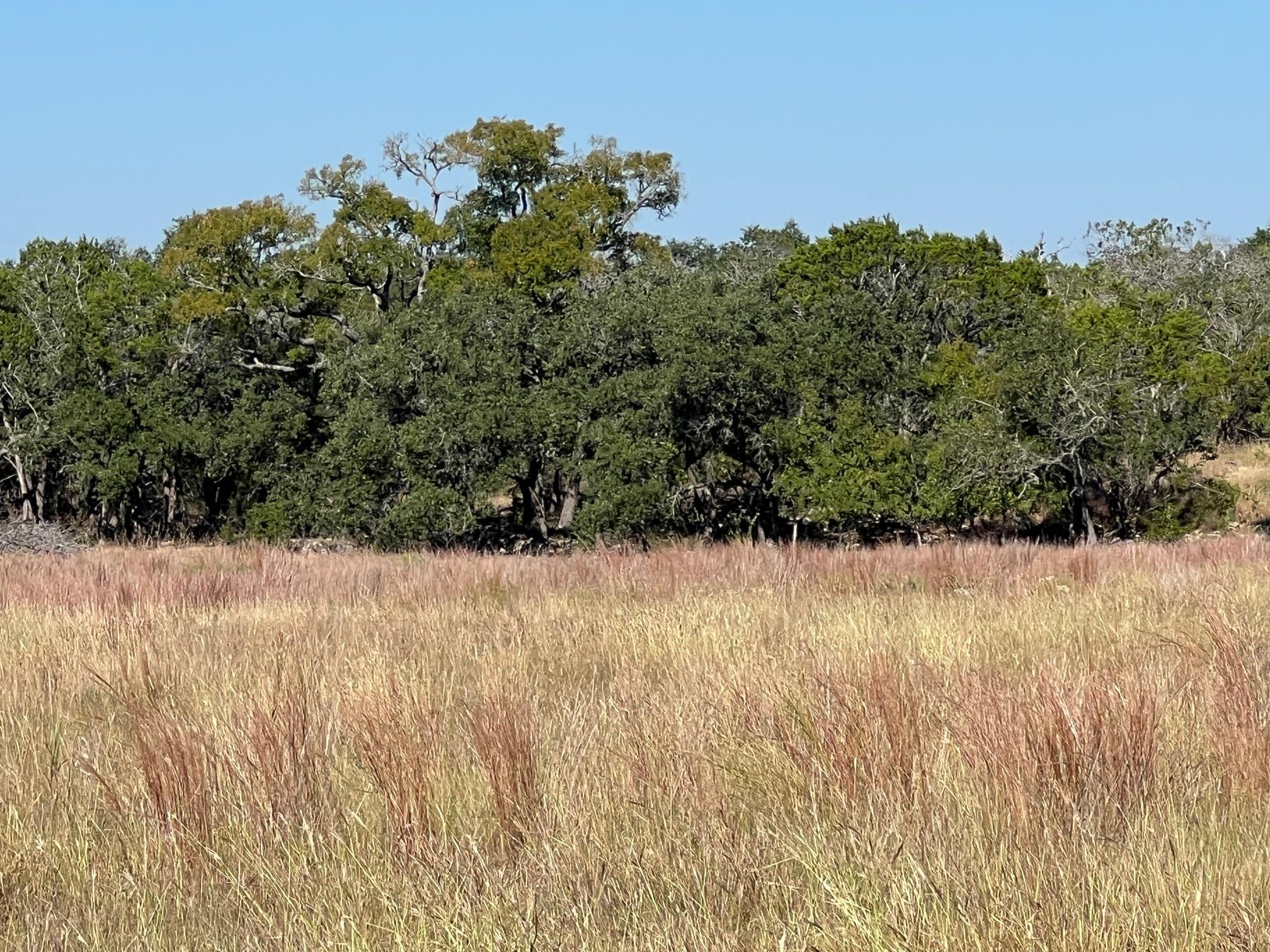 1366-E Narrows Rd, Blanco, TX 78606