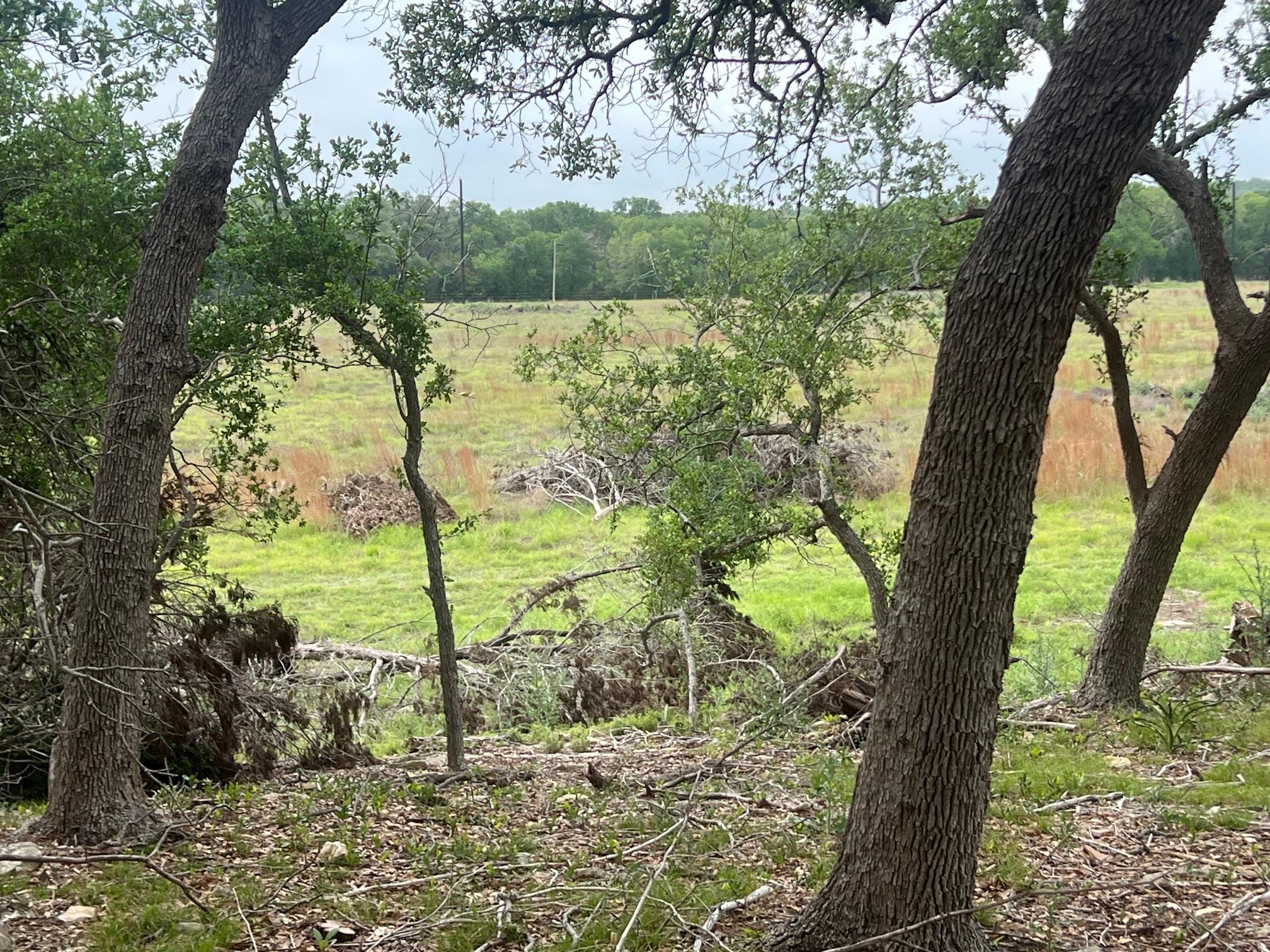 1366-E Narrows Rd, Blanco, TX 78606