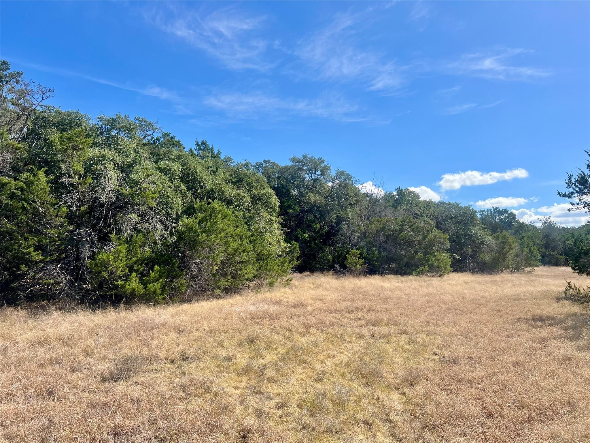 1366-E Narrows Rd, Blanco, TX 78606