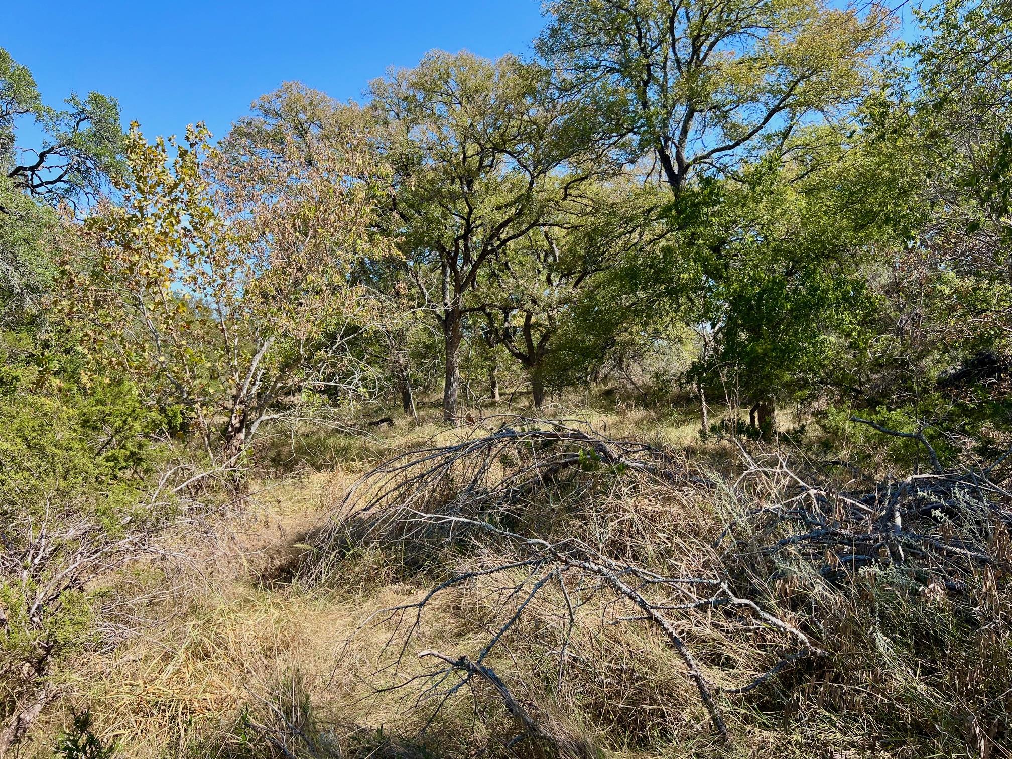 1366-E Narrows Rd, Blanco, TX 78606