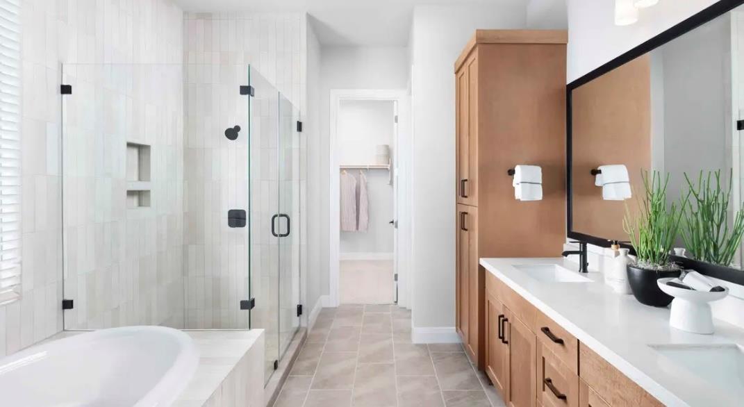 299 Prickly Poppy Loop, Kyle, TX 78640