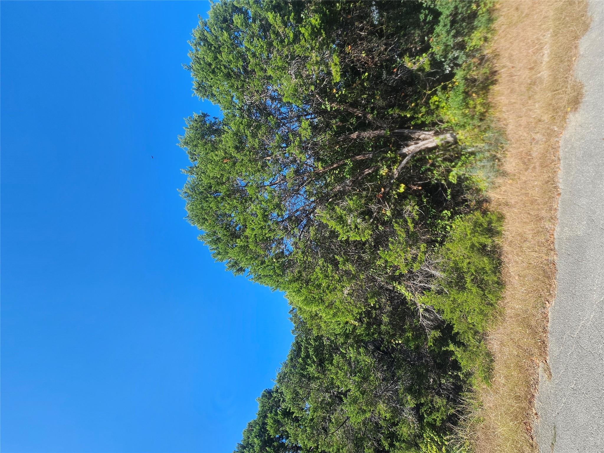 7406 White Oak Dr, Lago Vista, TX 78645