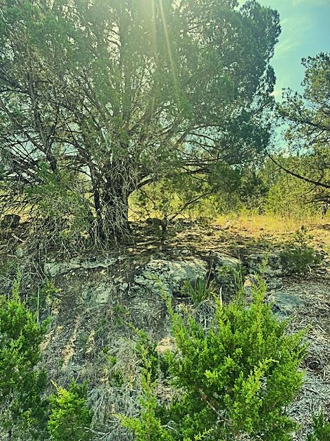 20013 Columbus Ln, Lago Vista, TX 78645