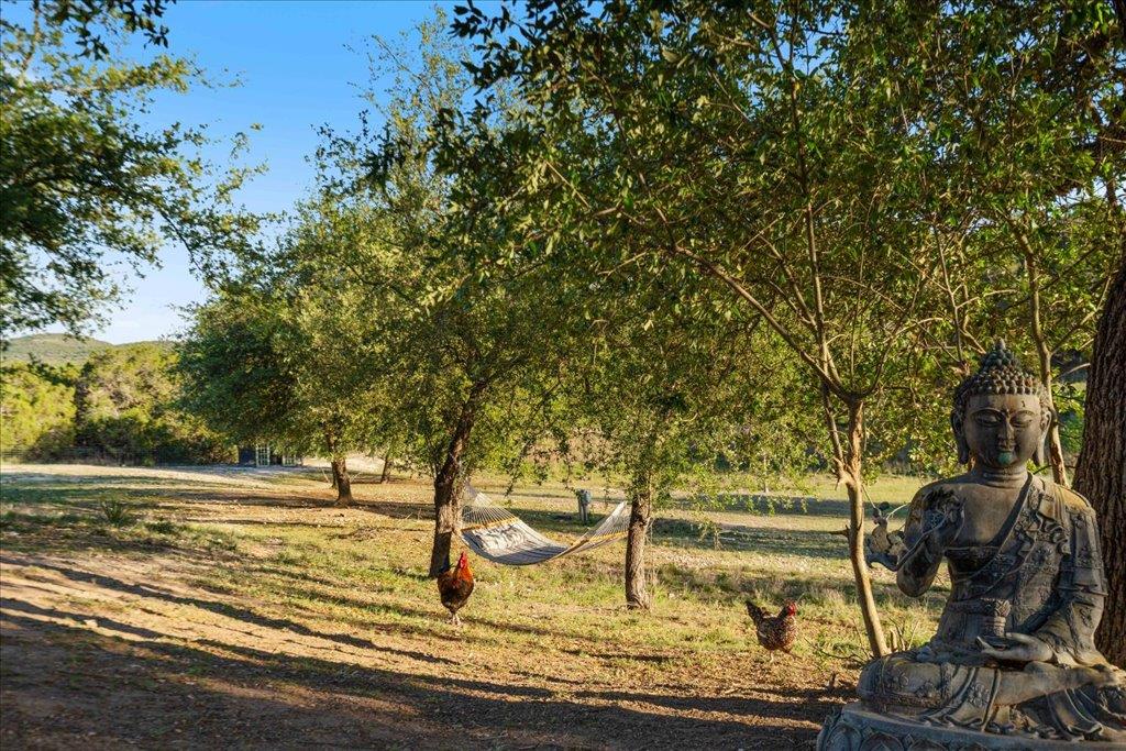 19801 Adrian Way, Jonestown, TX 78645