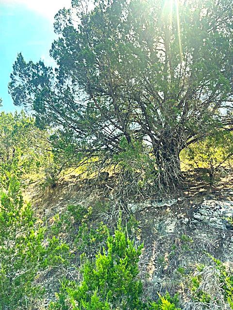 20001 Calhoun Ave, Lago Vista, TX 78645