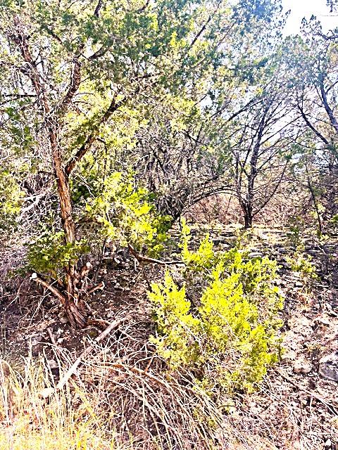 20001 Calhoun Ave, Lago Vista, TX 78645