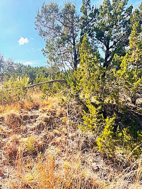 20001 Calhoun Ave, Lago Vista, TX 78645