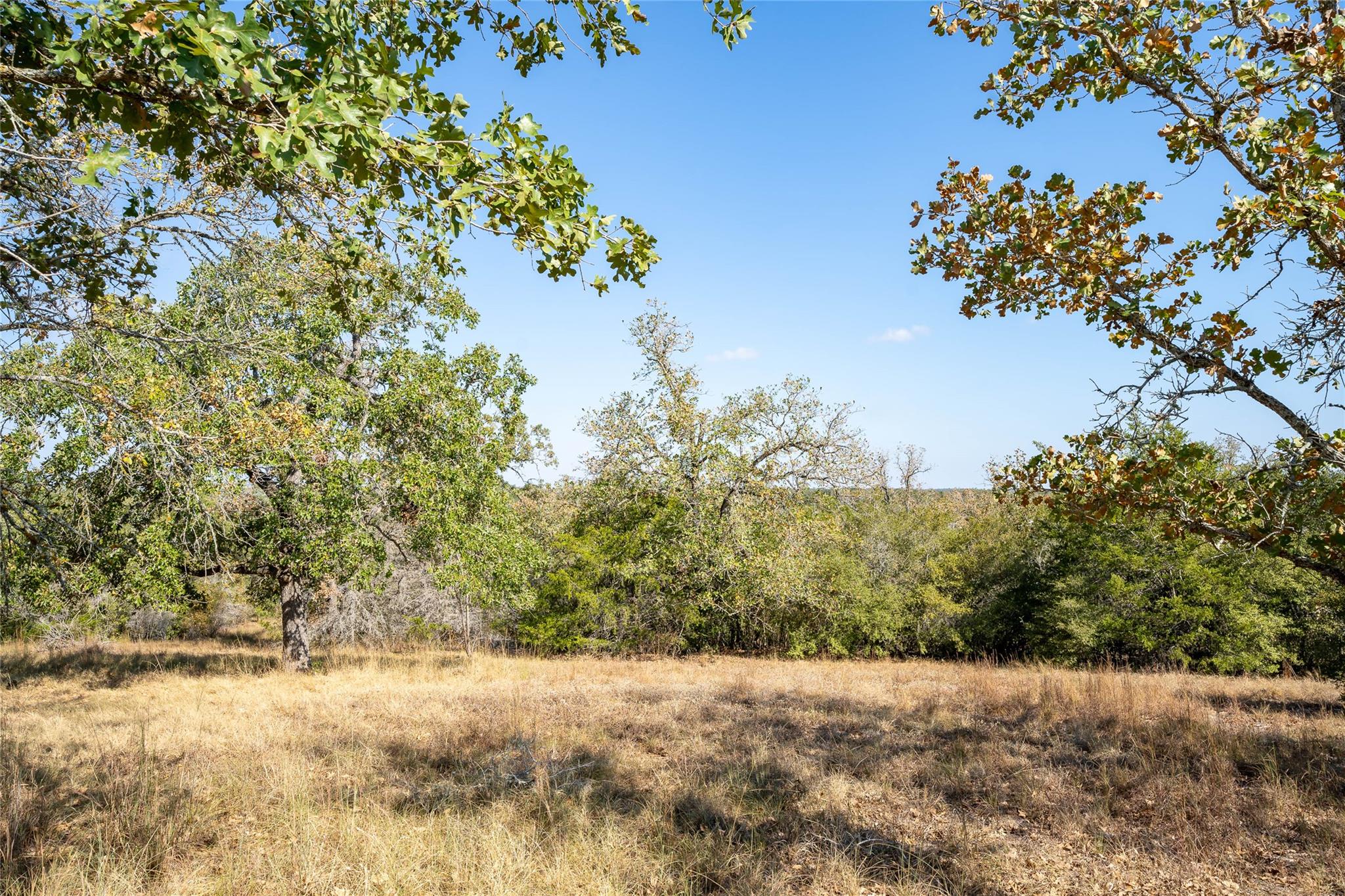 3779 Mule Creek Rd, Harwood, TX 78632