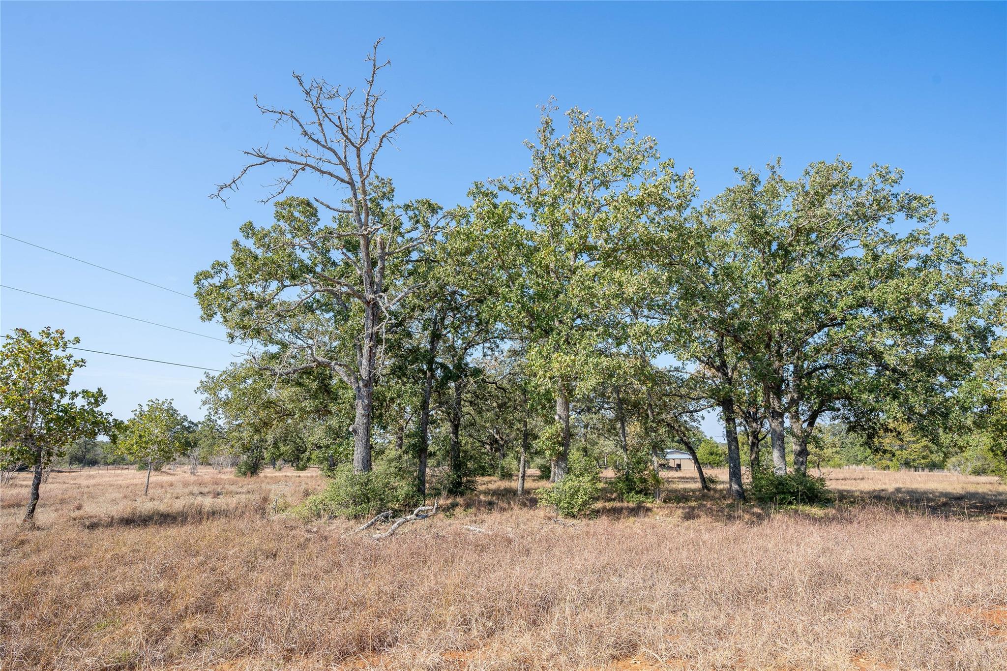 3779 Mule Creek Rd, Harwood, TX 78632