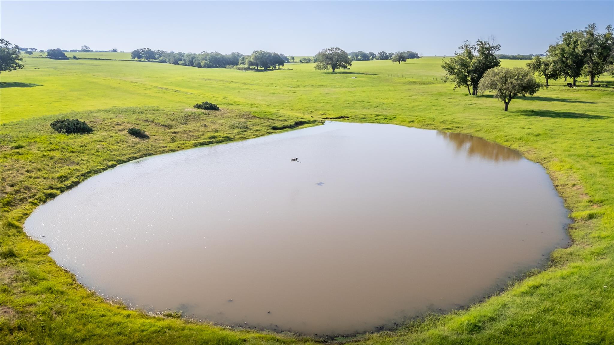 1483 County Road 255, Rochelle, TX 76872