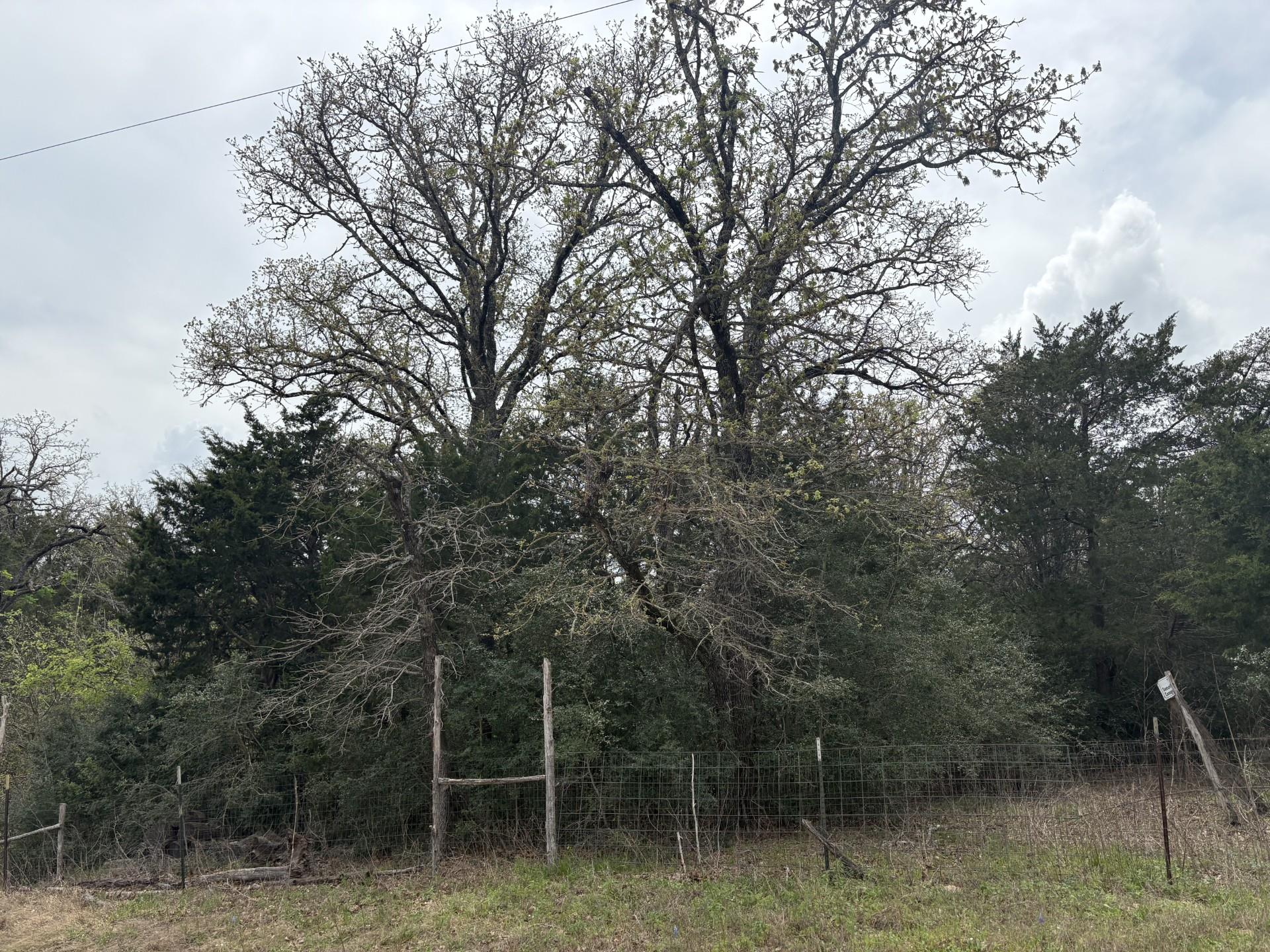 TBD Saddle Brook Dr, Bastrop, TX 78602