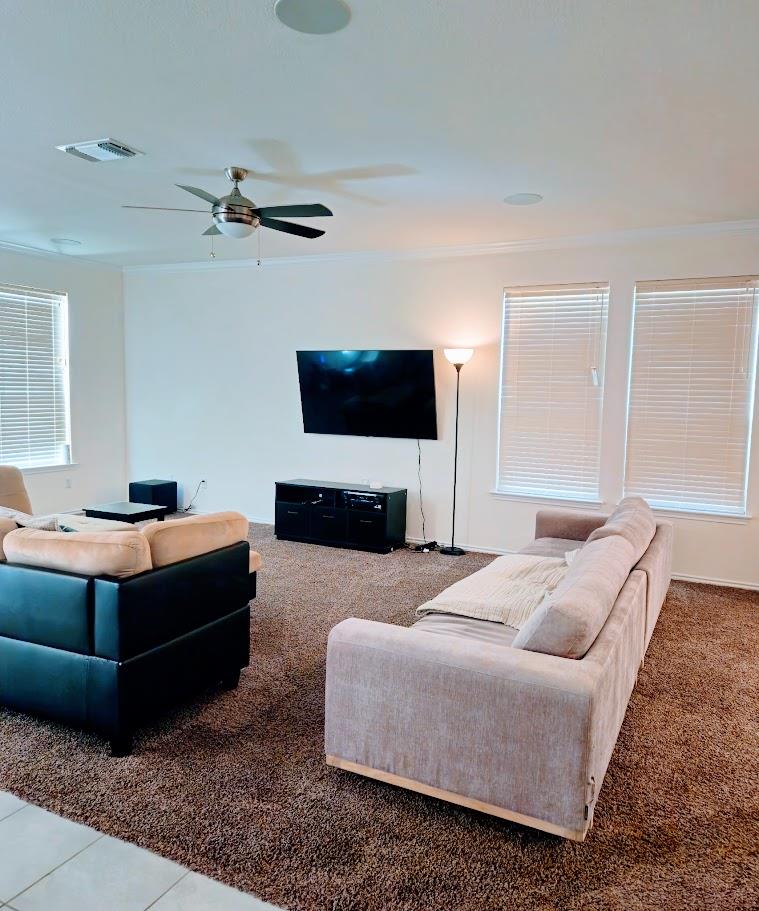 1131 Aronia Ln, Georgetown, TX 78626