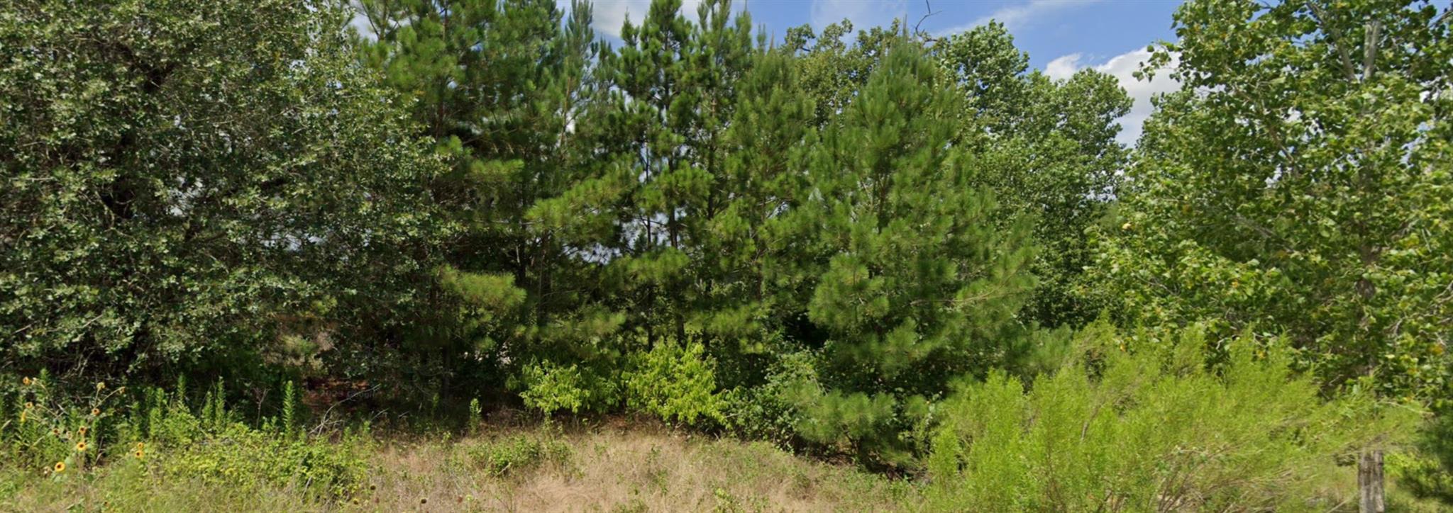 002 Kipahulu Ln, Bastrop, TX 78602