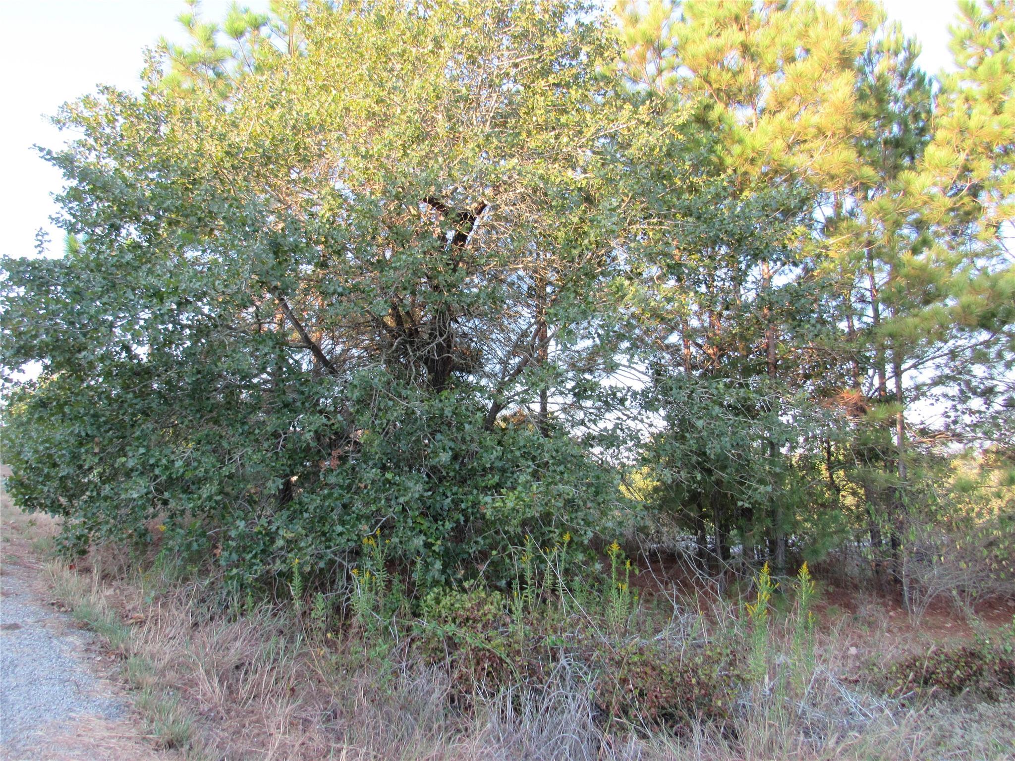 002 Kipahulu Ln, Bastrop, TX 78602