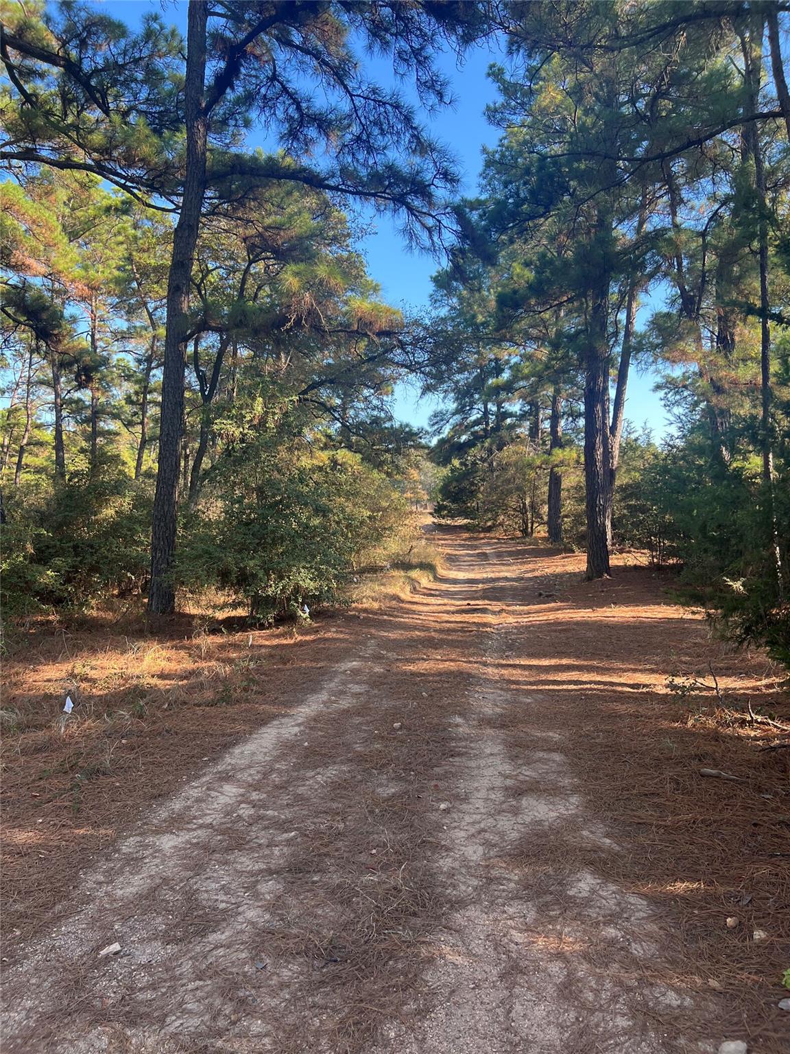 Lot 43 Pine Lodge Dr, Bastrop, TX 78602