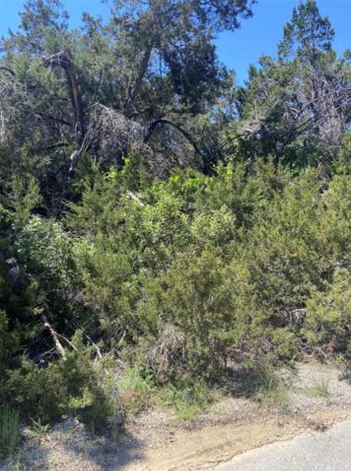 20601 Oxbow Trl, Lago Vista, TX 78645