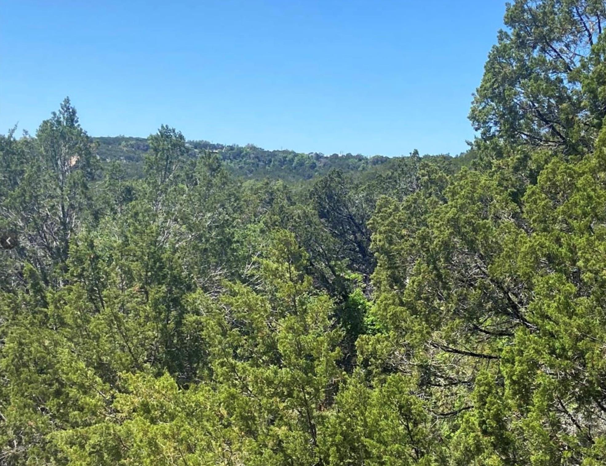 9302 Timber Trl, Lago Vista, TX 78645