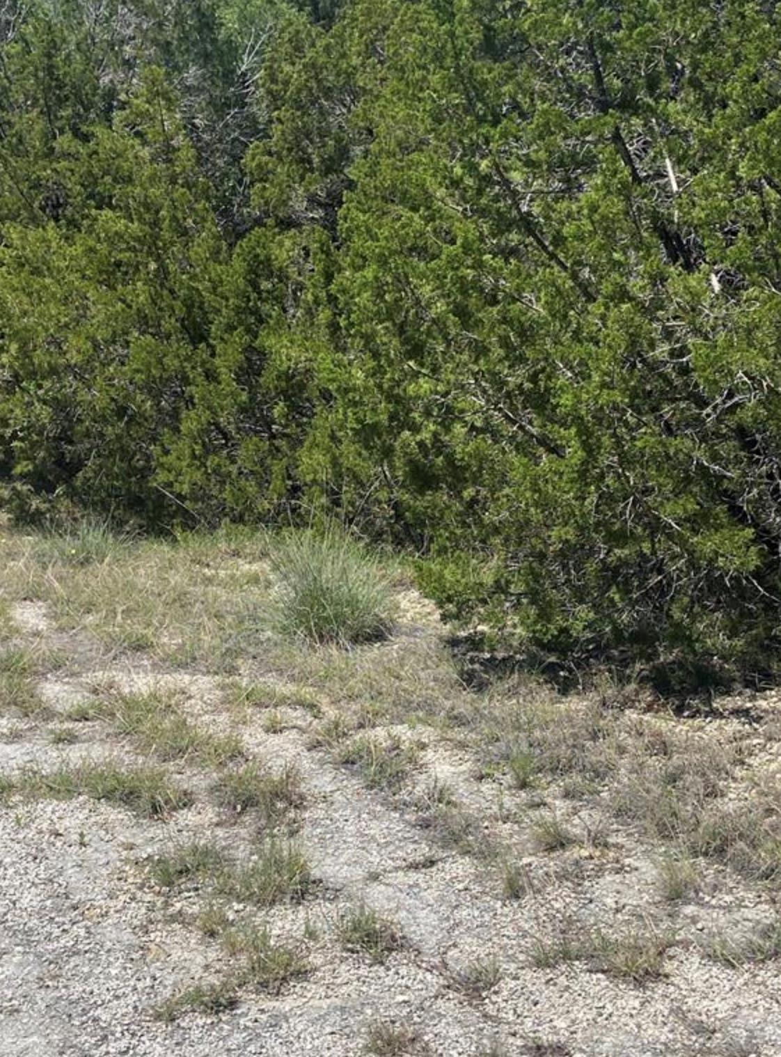 9302 Timber Trl, Lago Vista, TX 78645