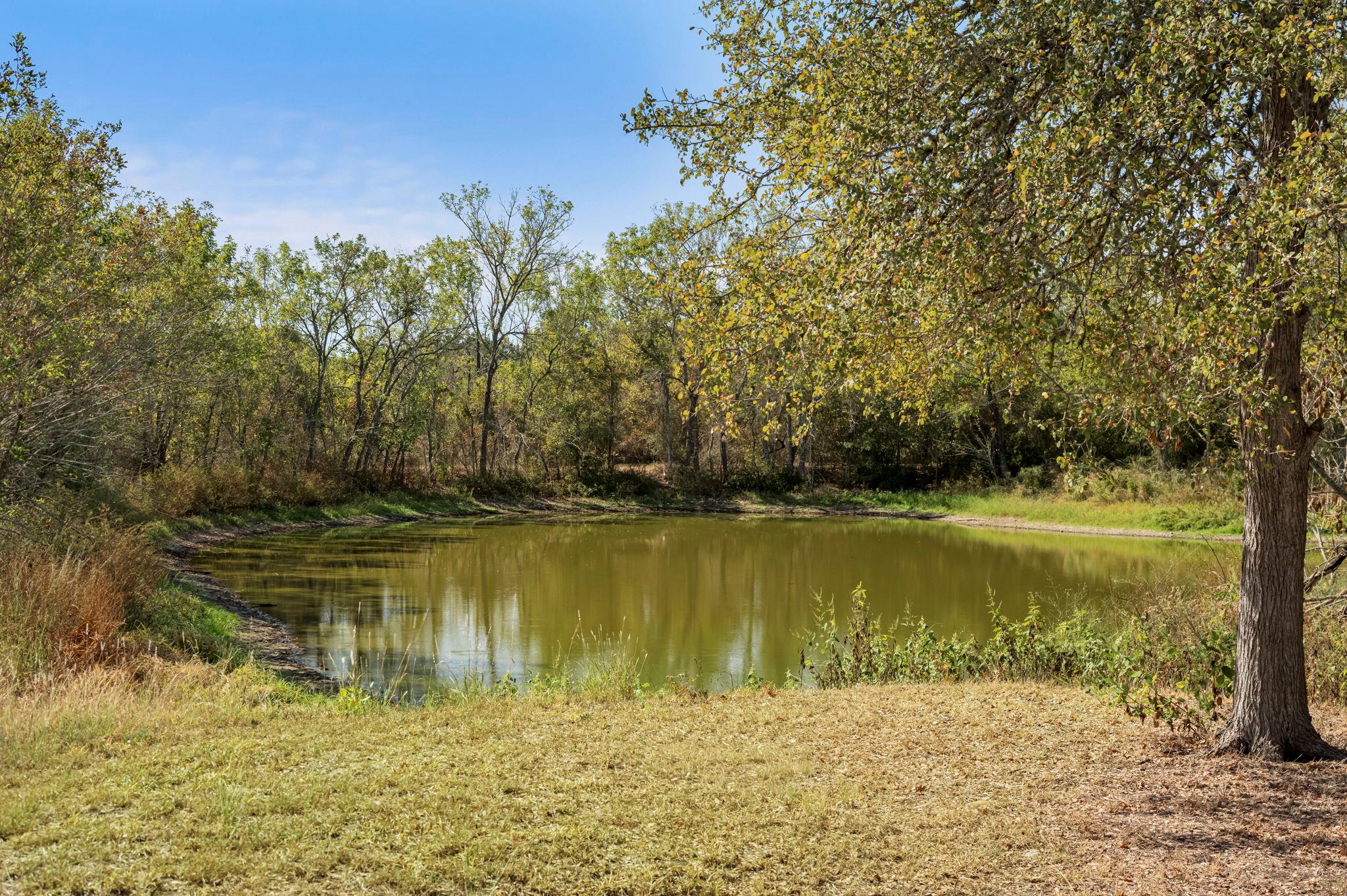 454 Leisure Ln, Cedar Creek, TX 78612