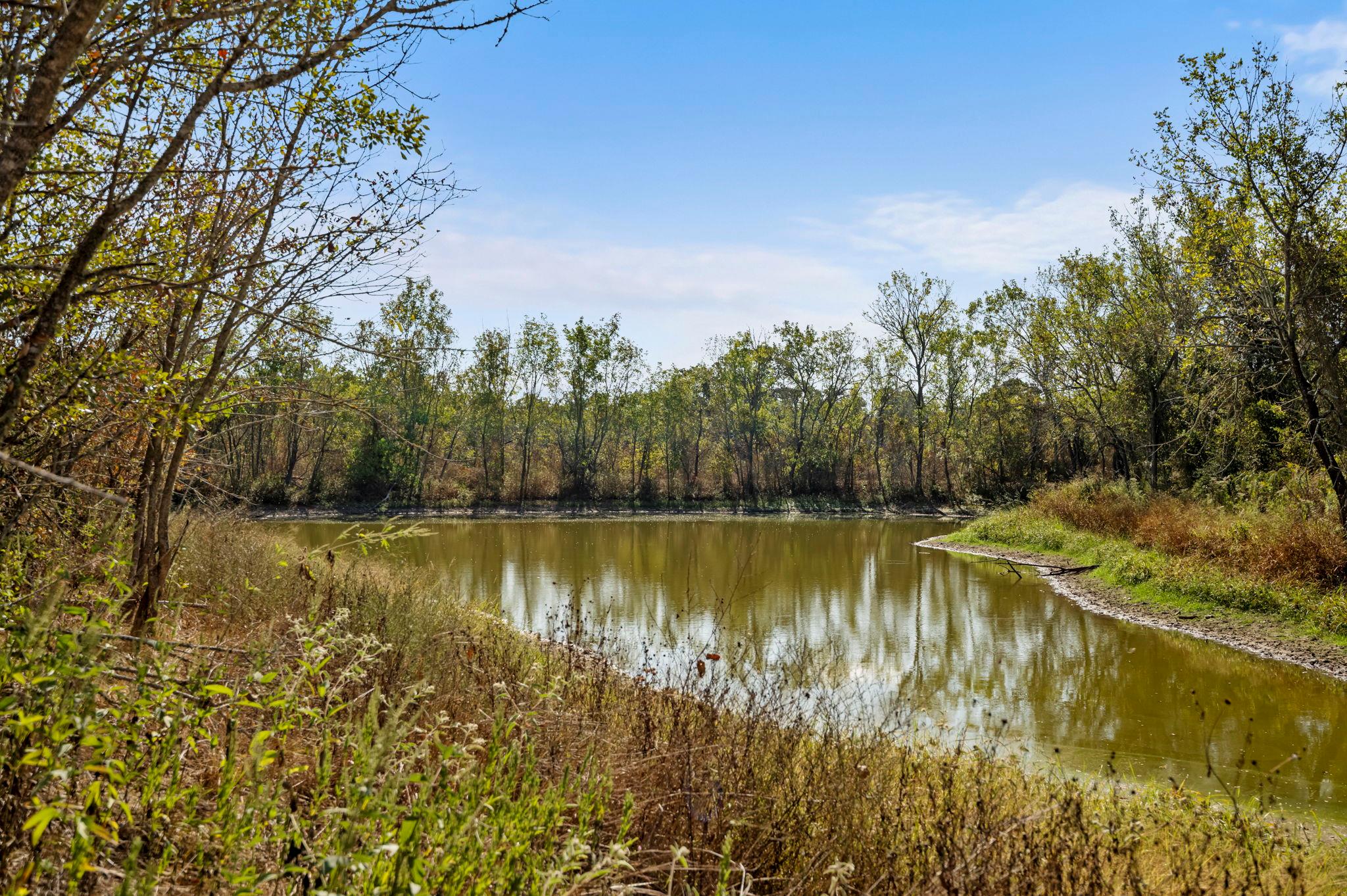 454 Leisure Ln, Cedar Creek, TX 78612