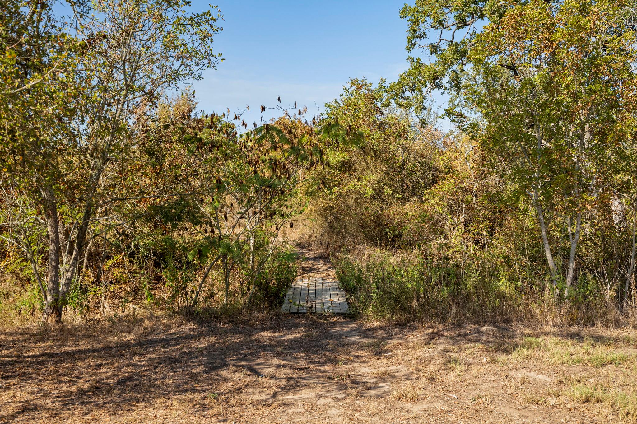 454 Leisure Ln, Cedar Creek, TX 78612