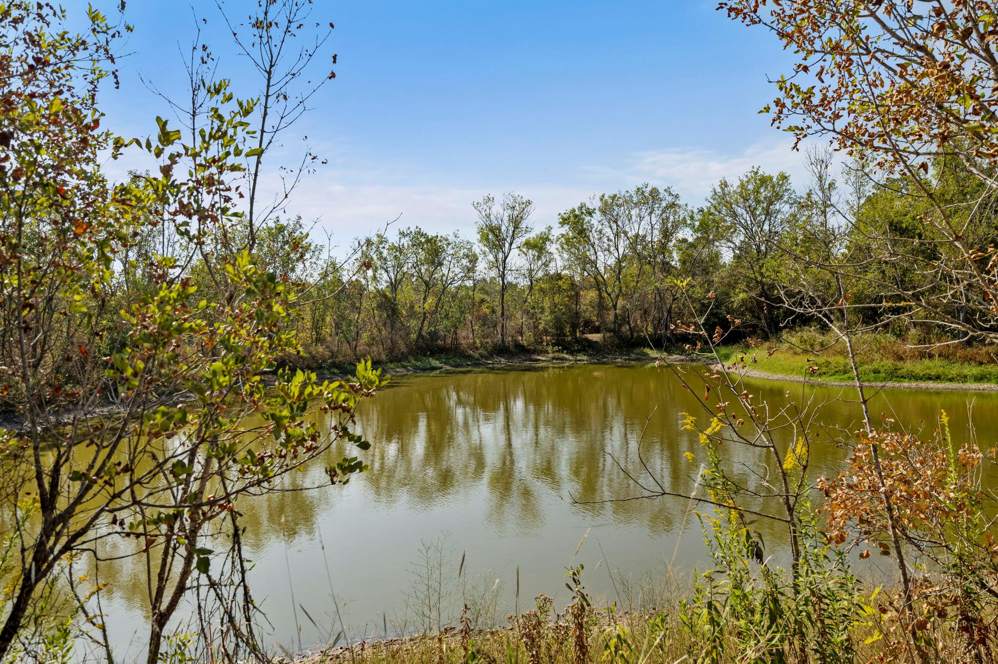 454 Leisure Ln, Cedar Creek, TX 78612