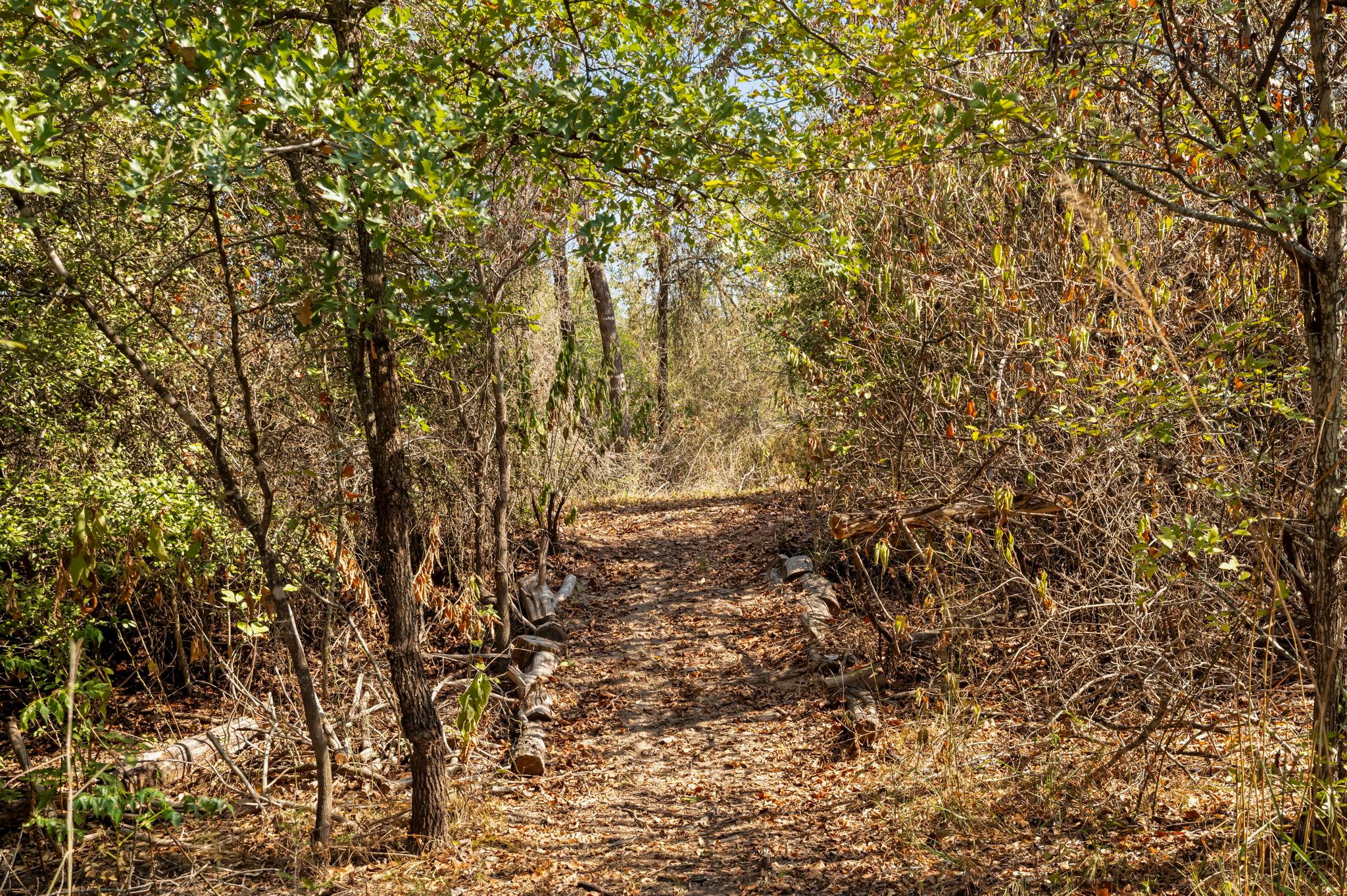 454 Leisure Ln, Cedar Creek, TX 78612