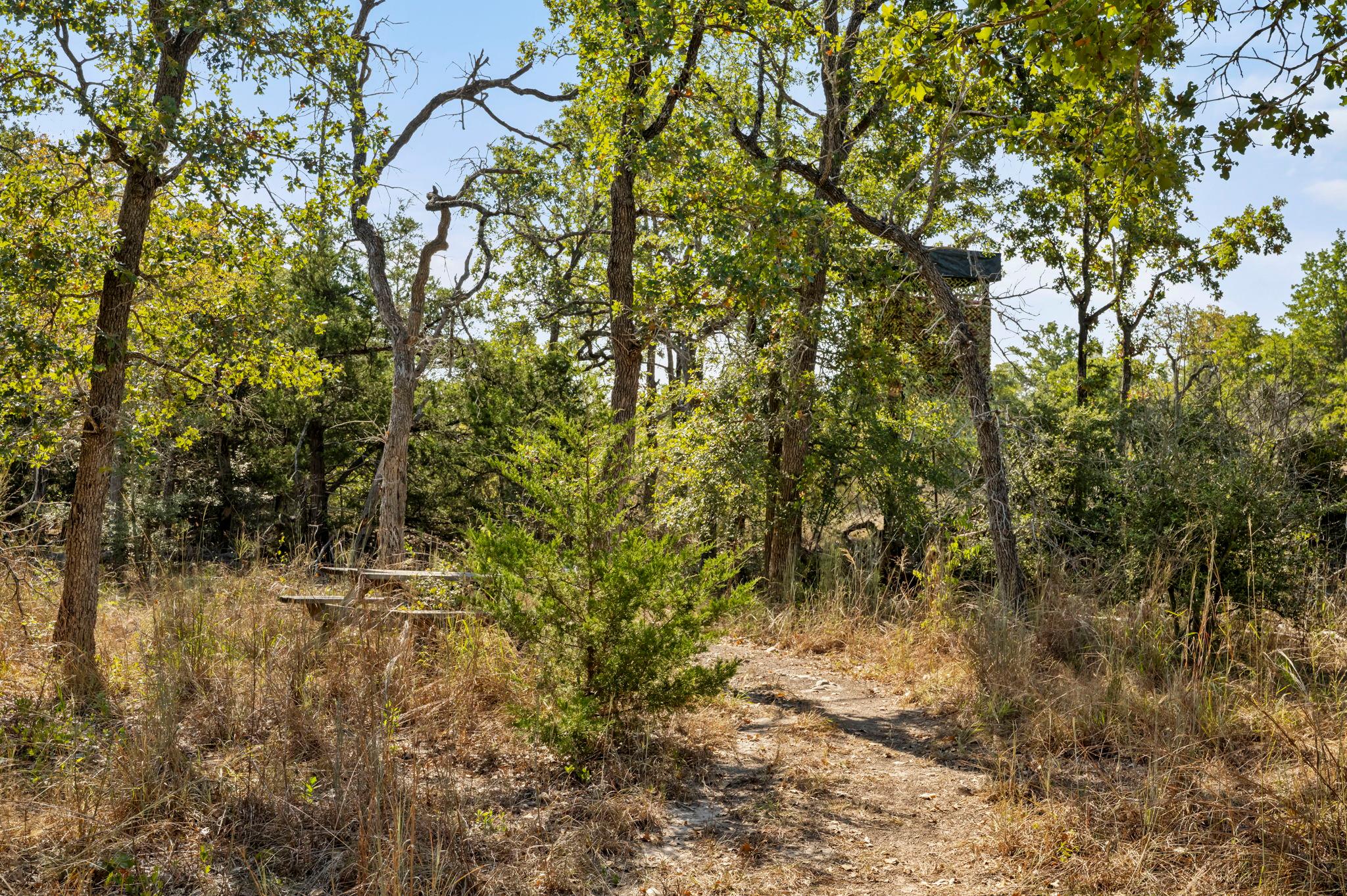 454 Leisure Ln, Cedar Creek, TX 78612