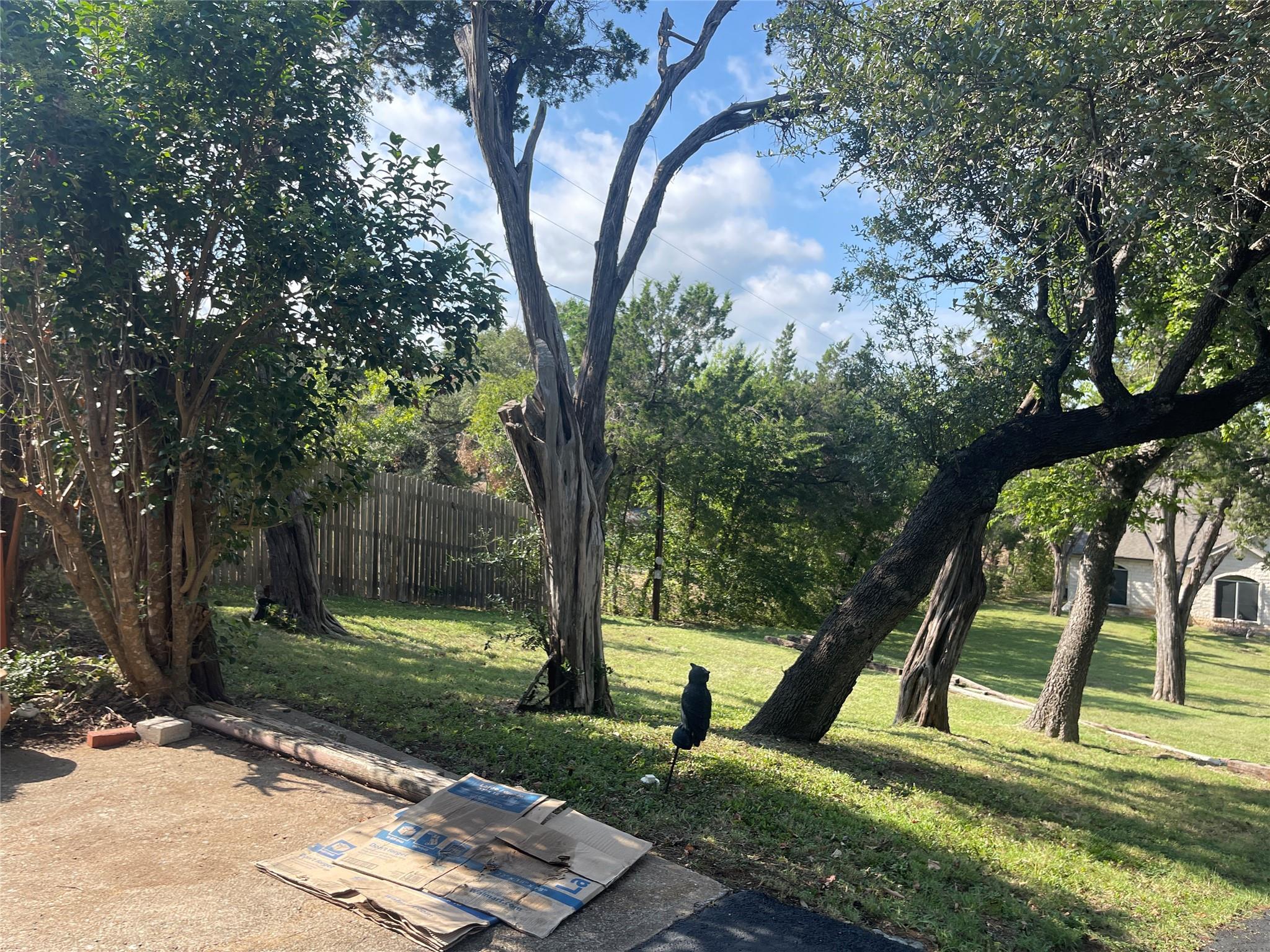 17303 E Darleen Dr, Leander, TX 78641