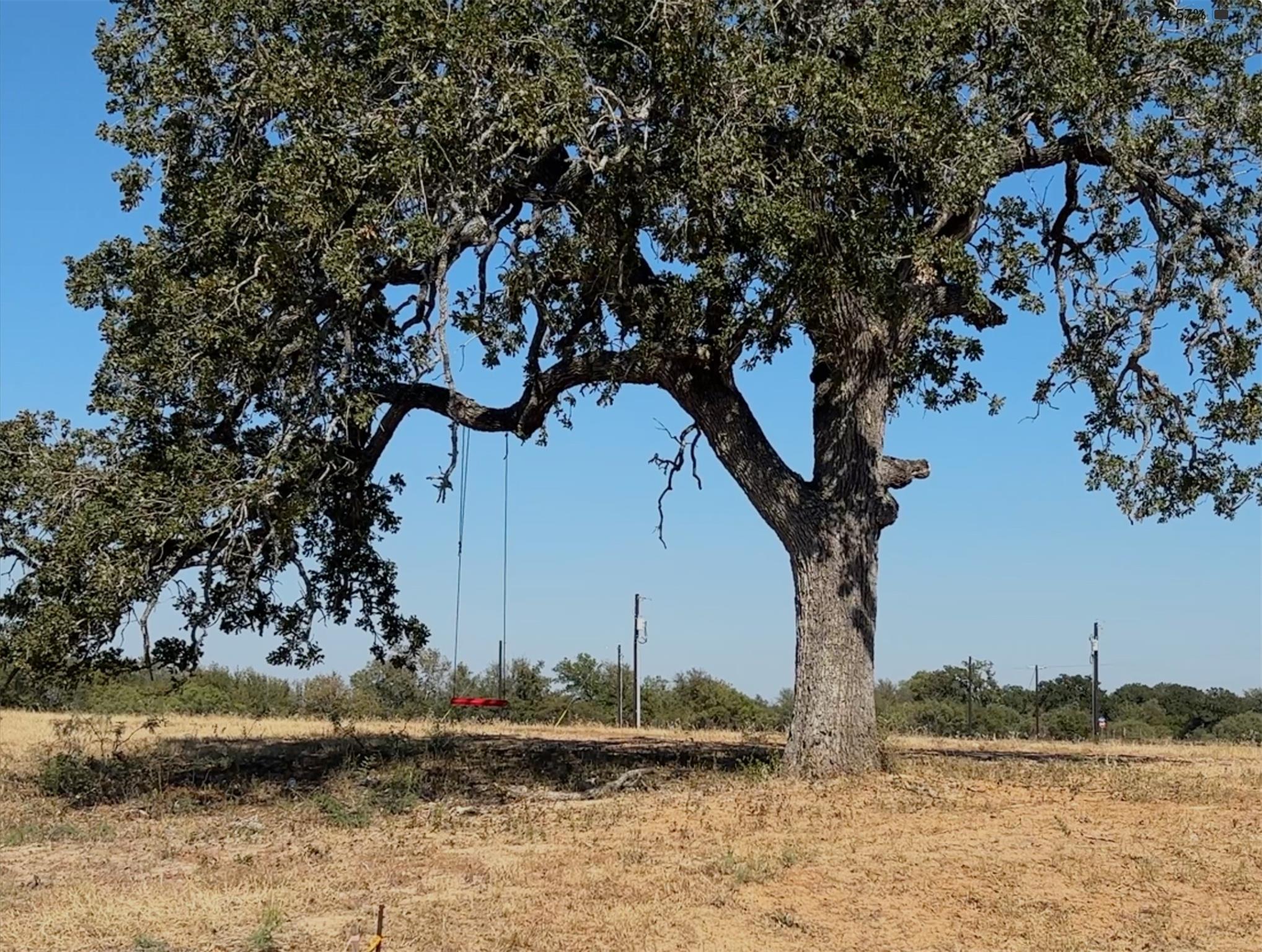 167 Palisade Rd, Elgin, TX 78621