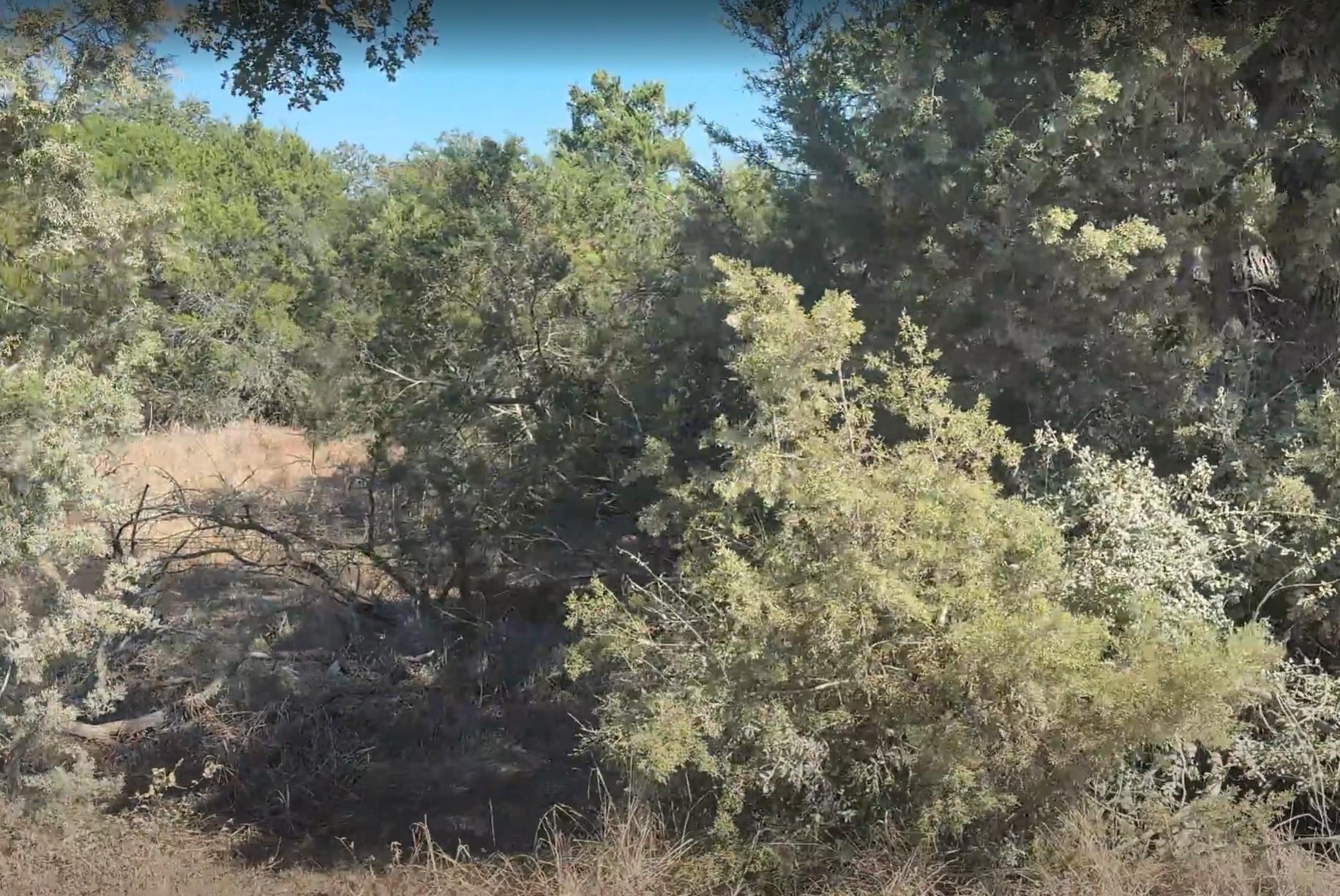 500 Hidden Mesa, Leander, TX 78641