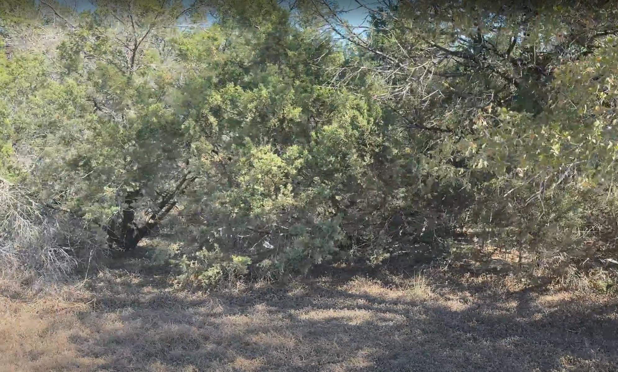 500 Hidden Mesa, Leander, TX 78641