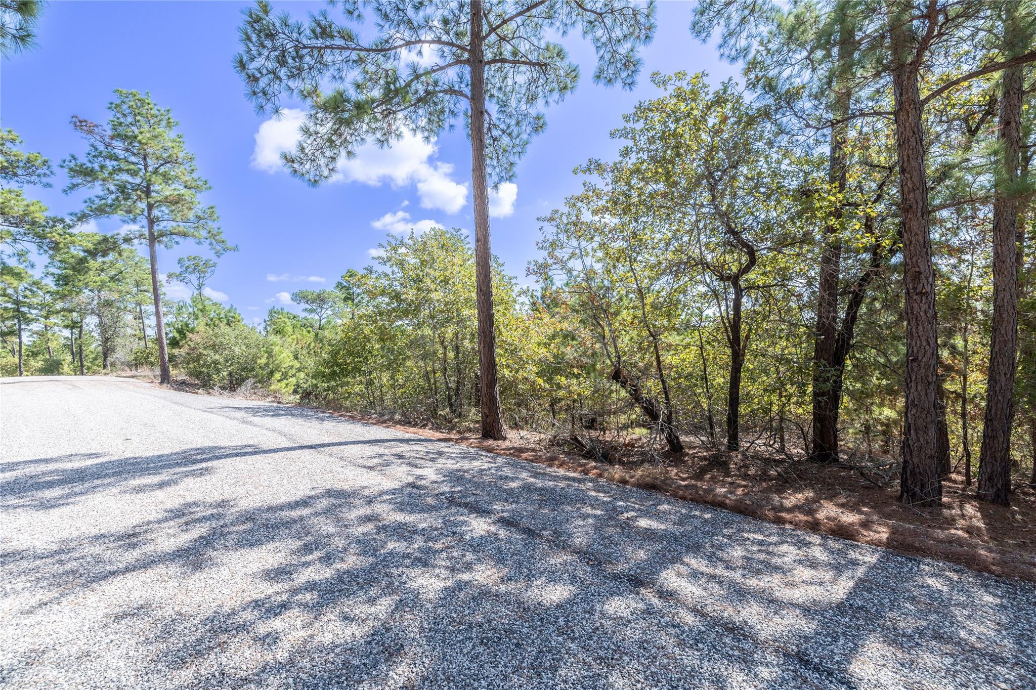 Lot 707 E Waimea Ct, Bastrop, TX 78602