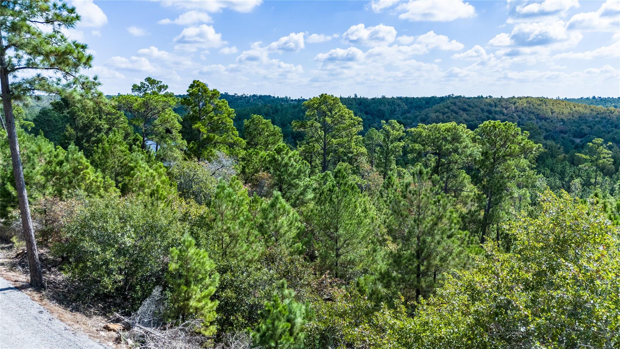 Lot 707 E Waimea Ct, Bastrop, TX 78602