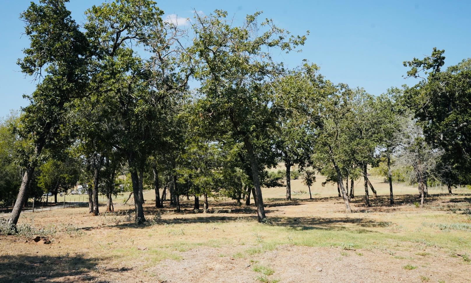 640 County Road 475 Rd, Luling, TX 78648