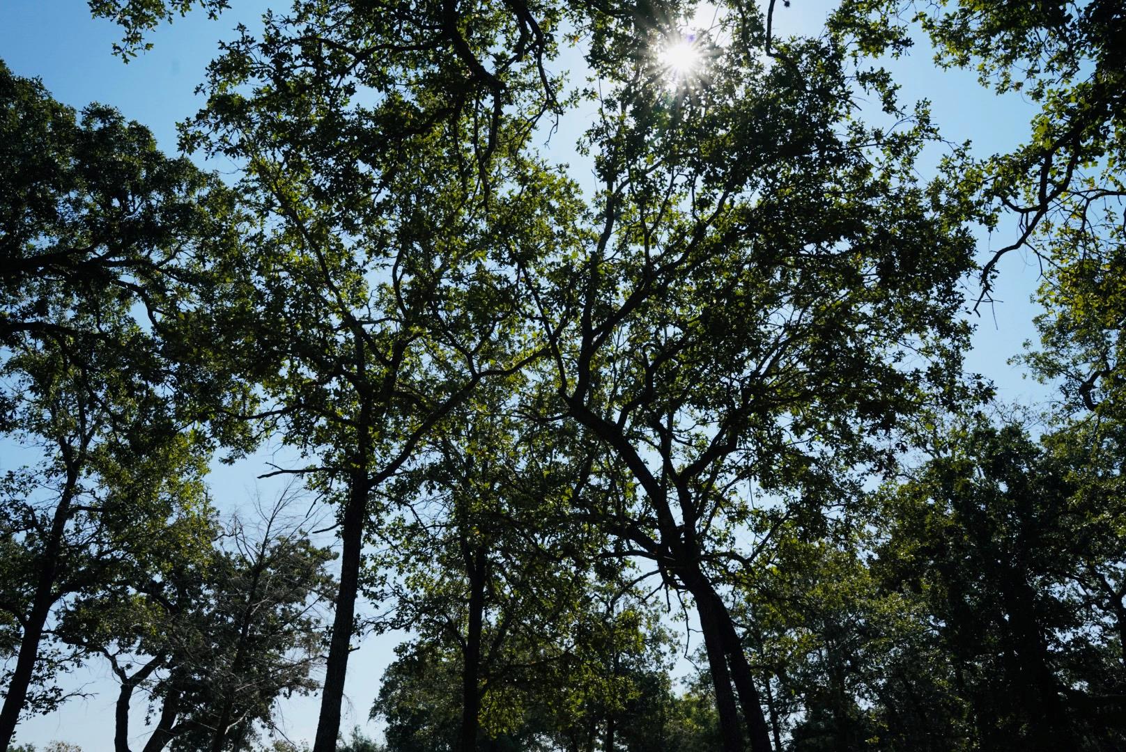 640 County Road 475 Rd, Luling, TX 78648