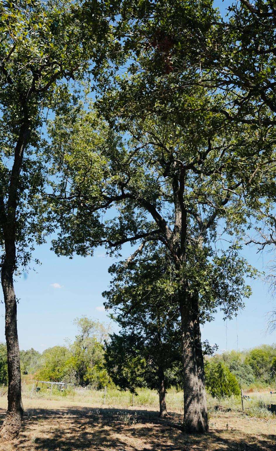 640 County Road 475 Rd, Luling, TX 78648