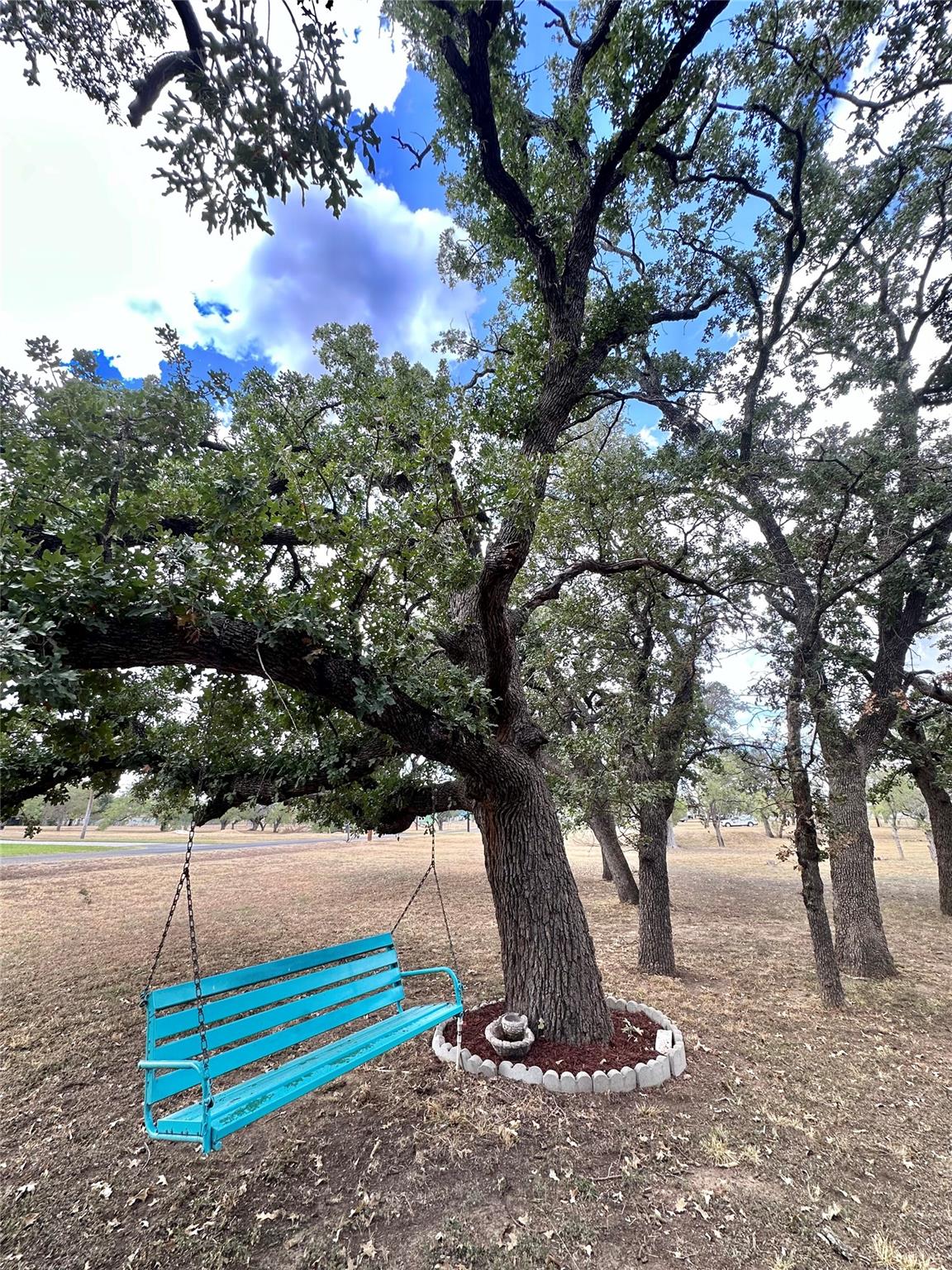 106 Redbird St, Marble Falls, TX 78654