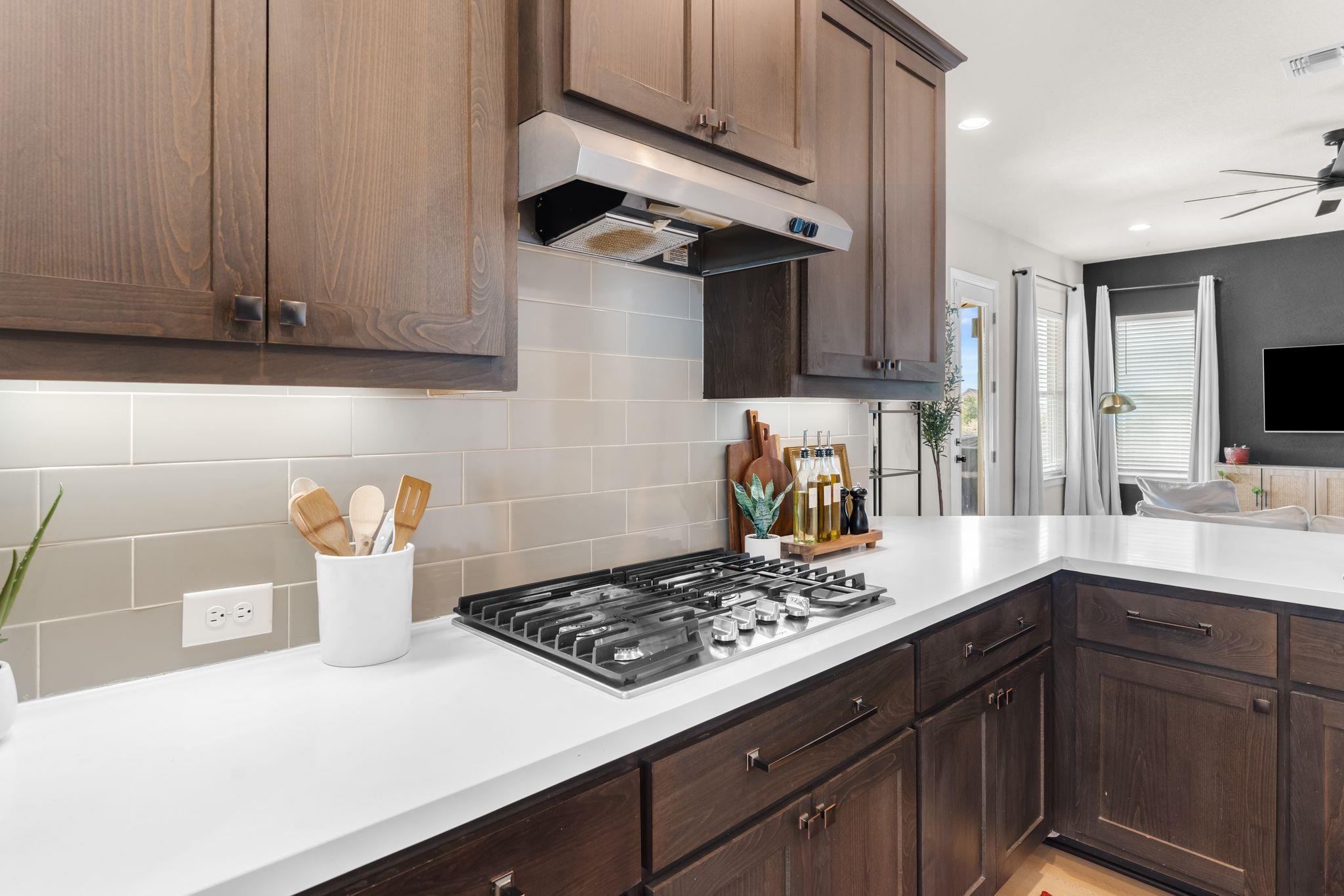 6809 Catania Loop, Round Rock, TX 78665