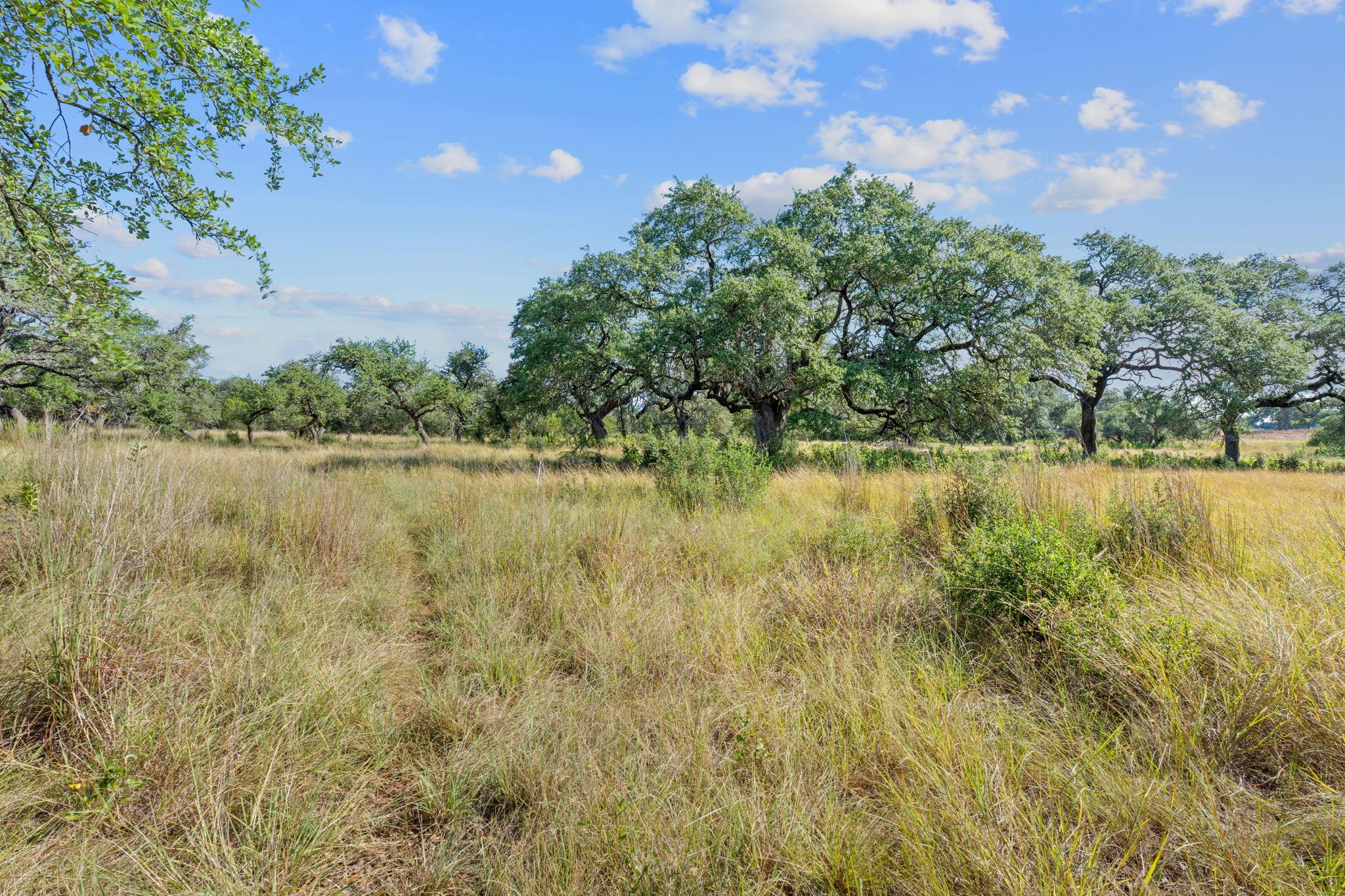 TBD U.S. 290 Highway SW, Austin, TX 78737