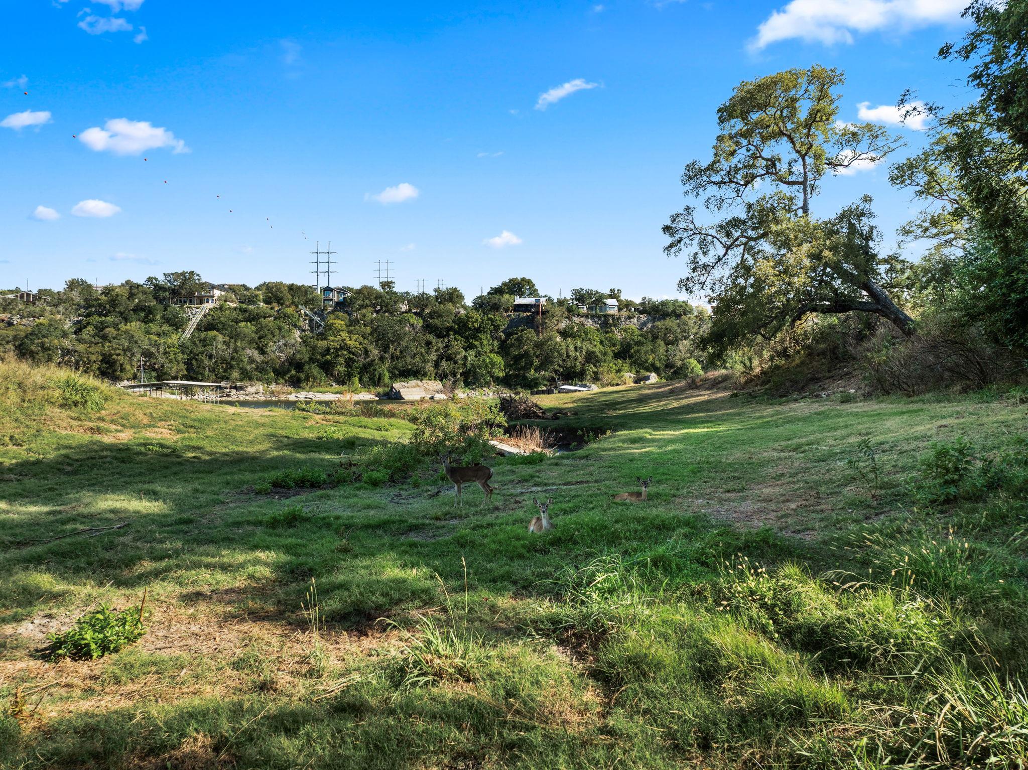 2201 Improver Rd, Spicewood, TX 78669