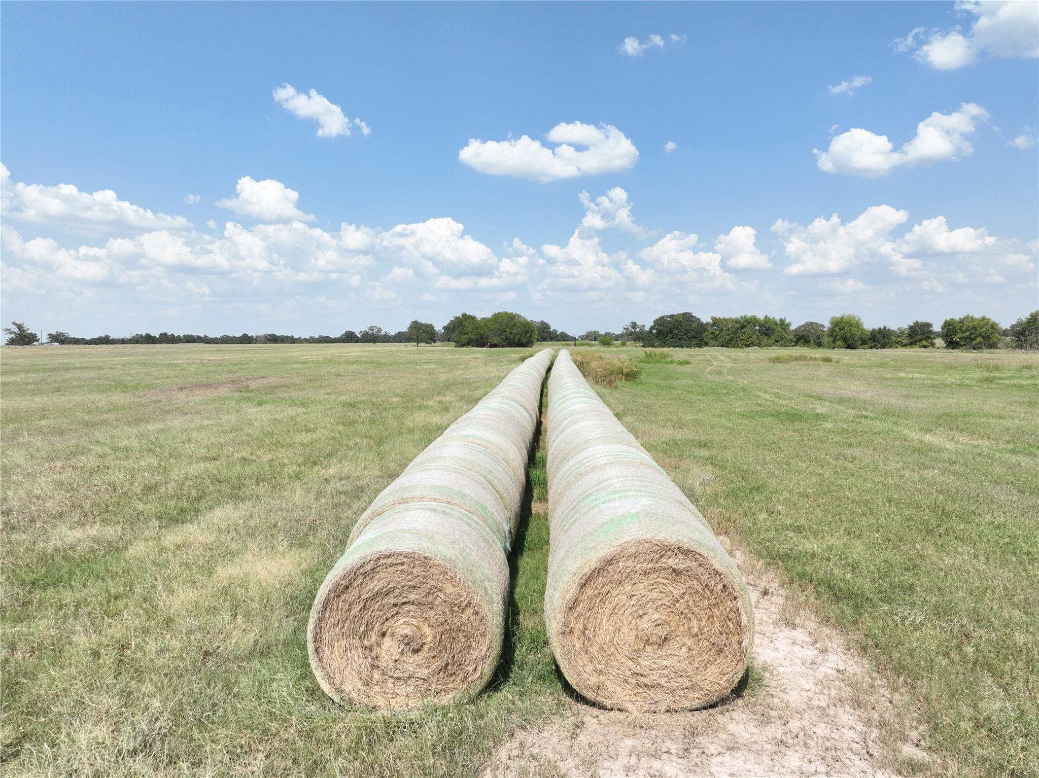 TBD Farm to Market Road 60, Caldwell, TX 77836