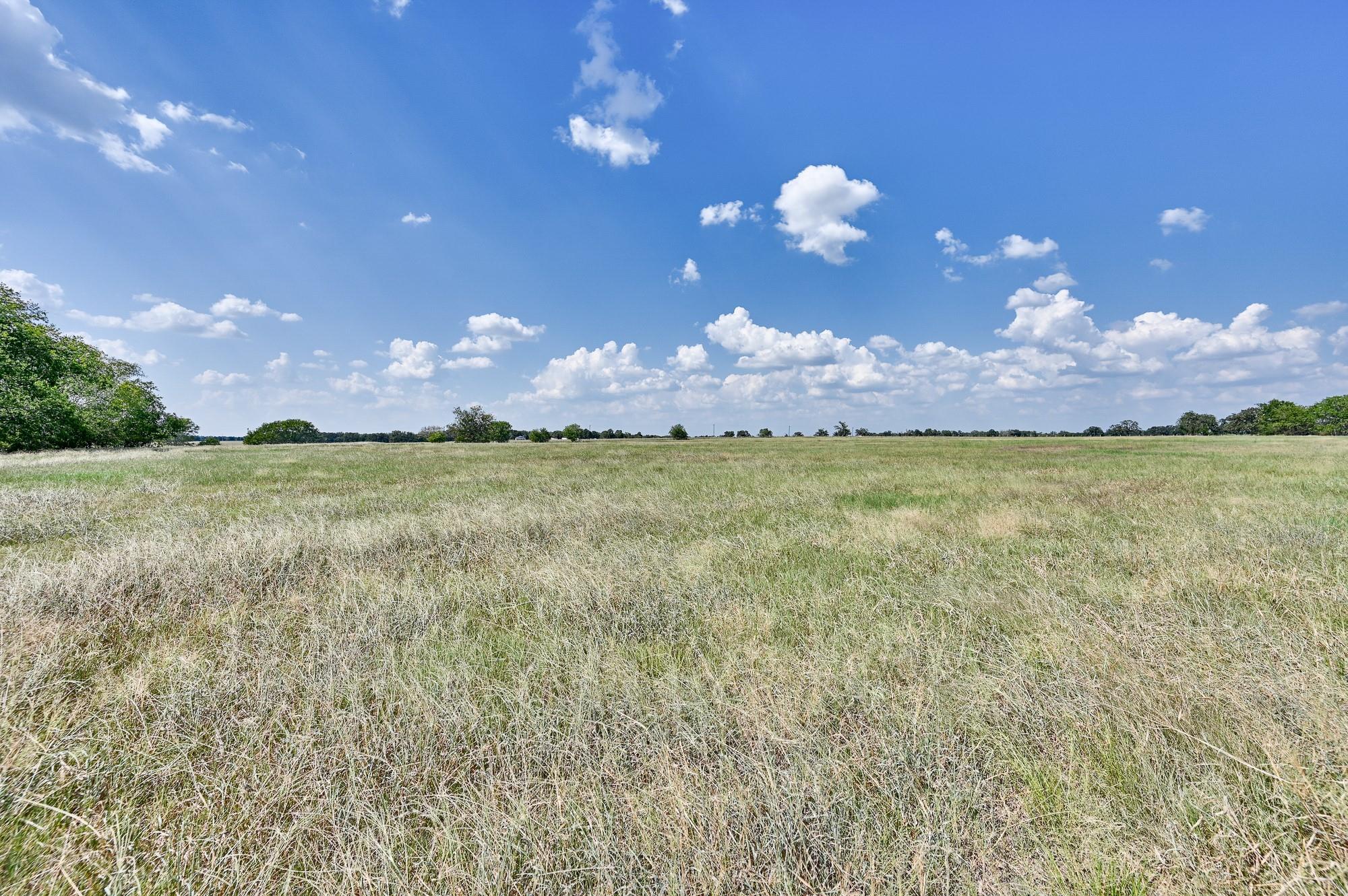 TBD Farm to Market Road 60, Caldwell, TX 77836
