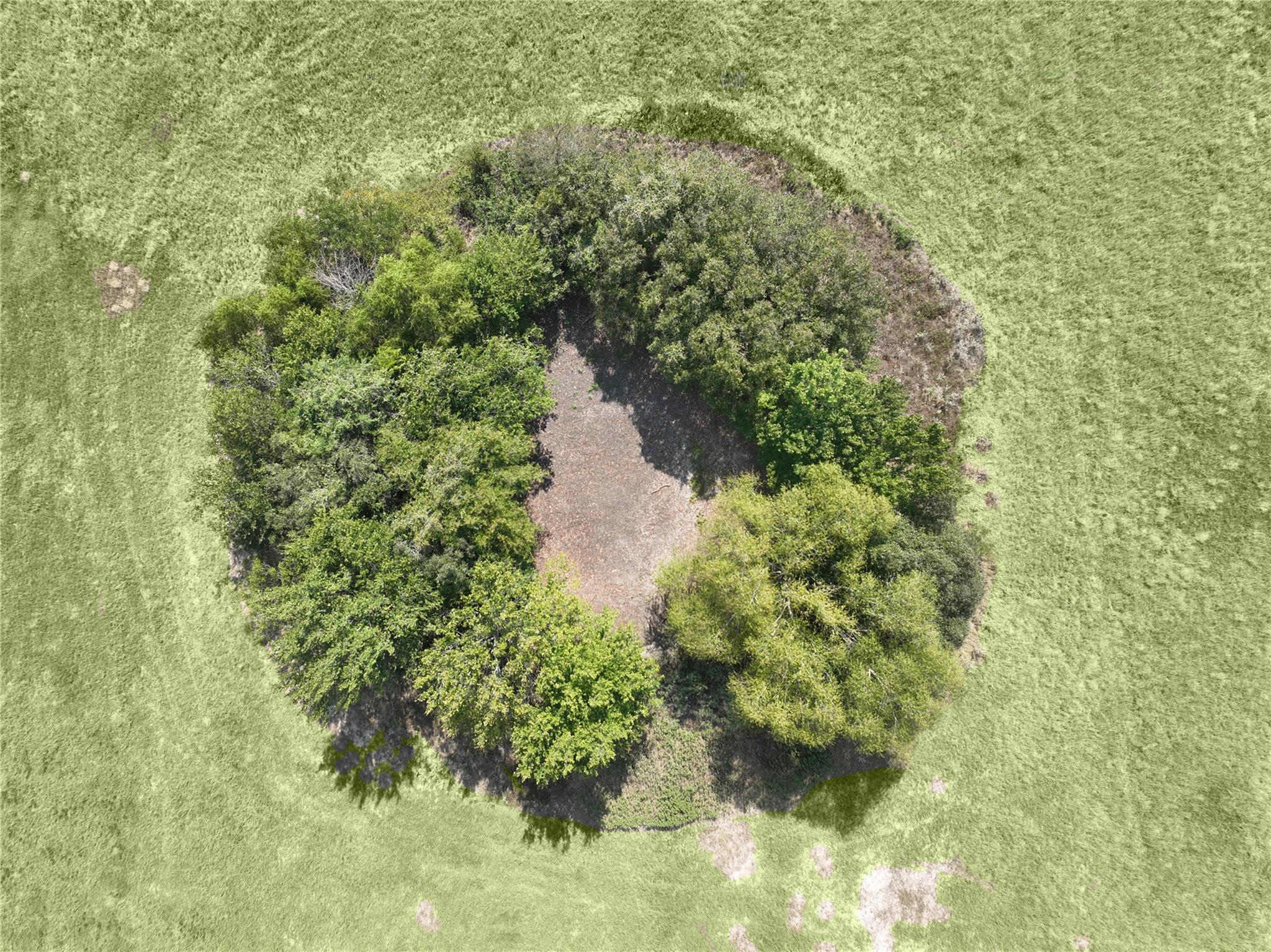 TBD Farm to Market Road 60, Caldwell, TX 77836