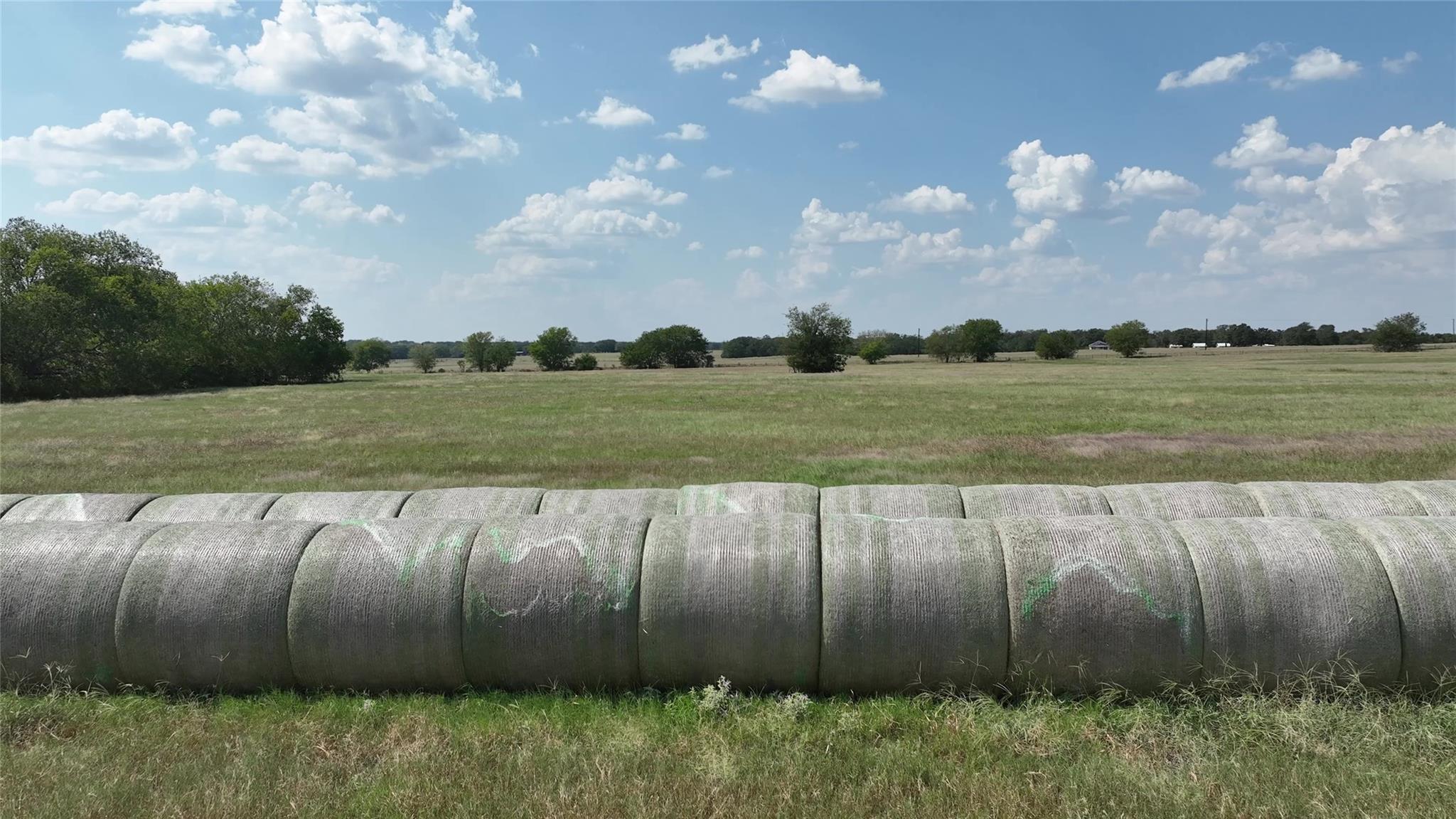 TBD Farm to Market Road 60, Caldwell, TX 77836