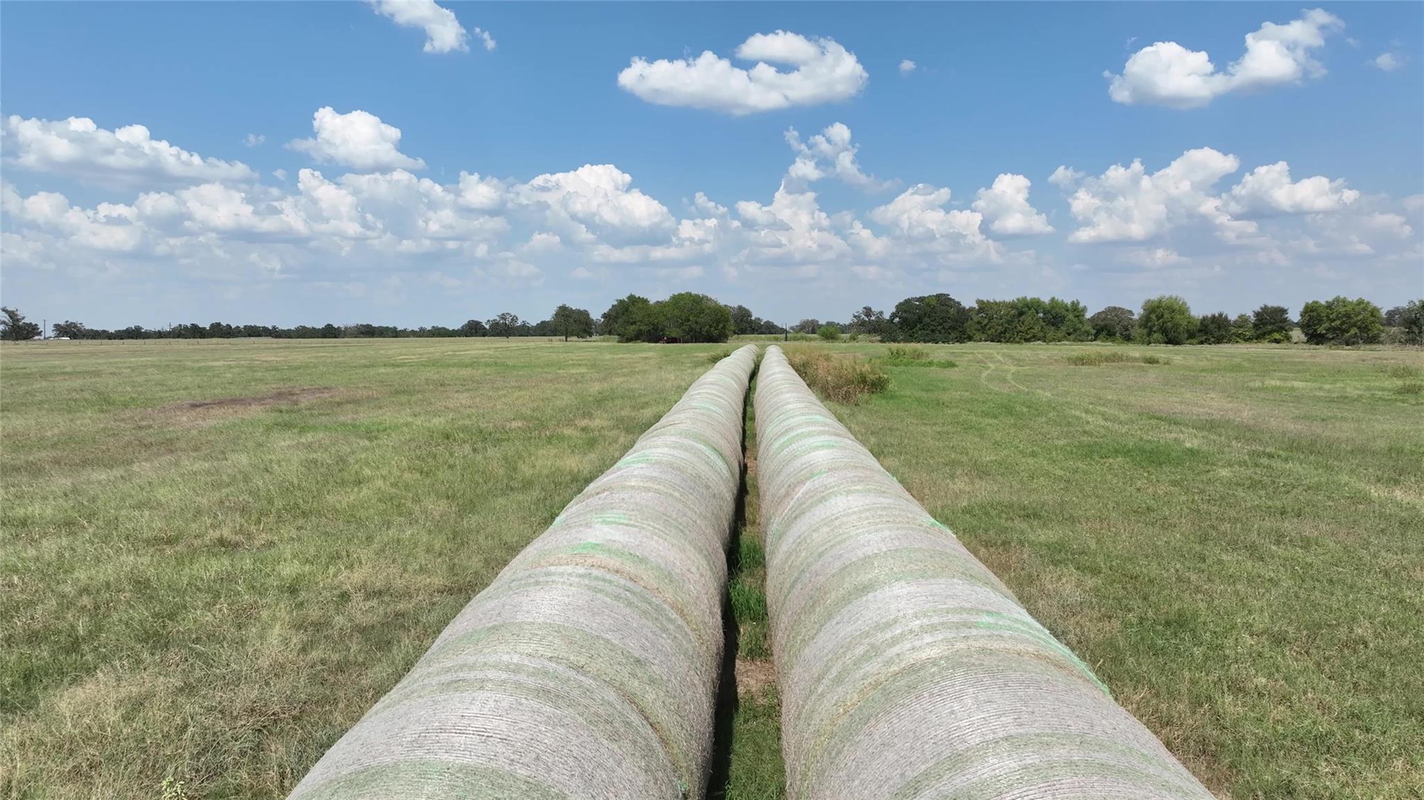 TBD Farm to Market Road 60, Caldwell, TX 77836