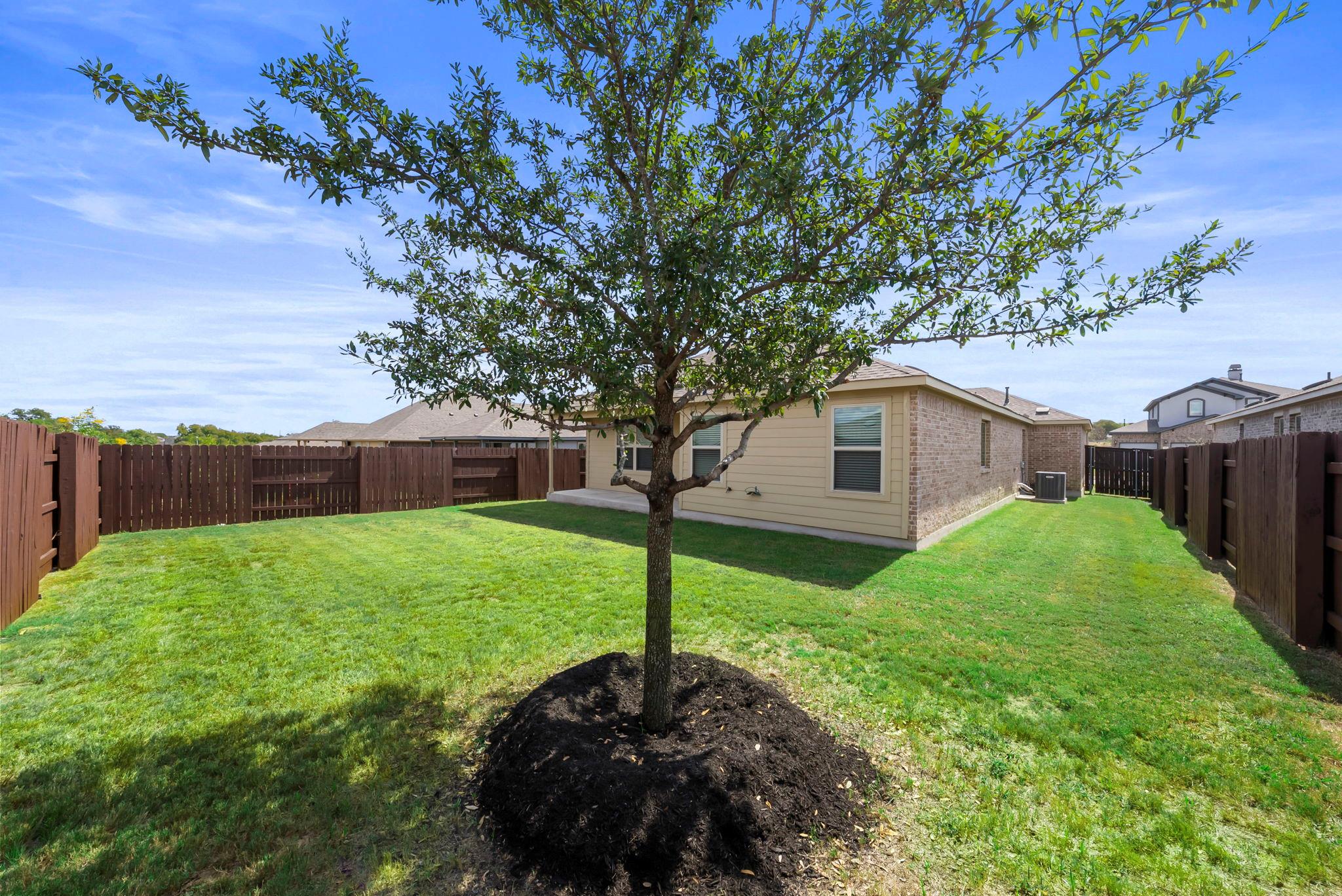 3489 Pauling Loop, Round Rock, TX 78665